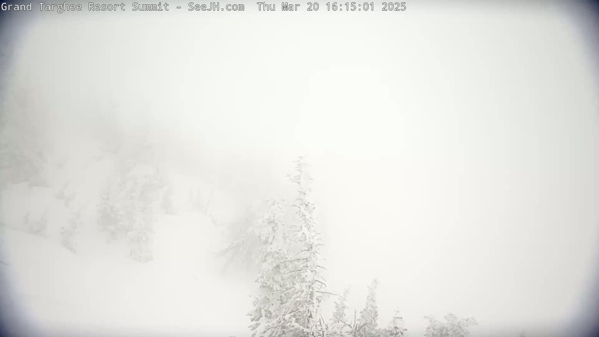 Snow-covered trees are barely visible in a thick fog.