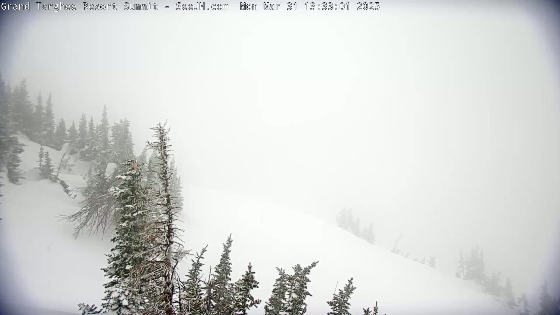 A snow-covered mountain slope with snow-laden evergreens is obscured by heavy fog.