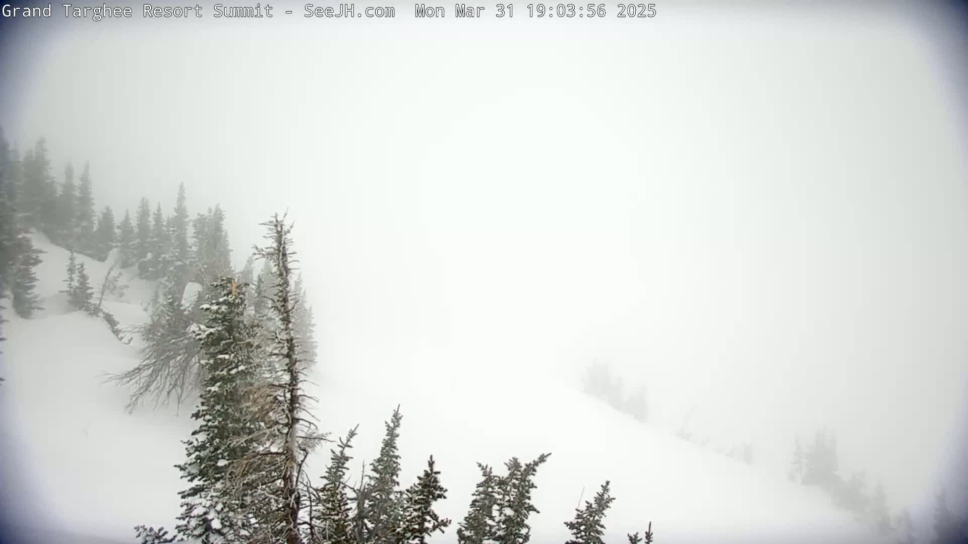 A snow-covered, mountainous landscape is shrouded in heavy fog, with snow-laden evergreen trees visible in the foreground.