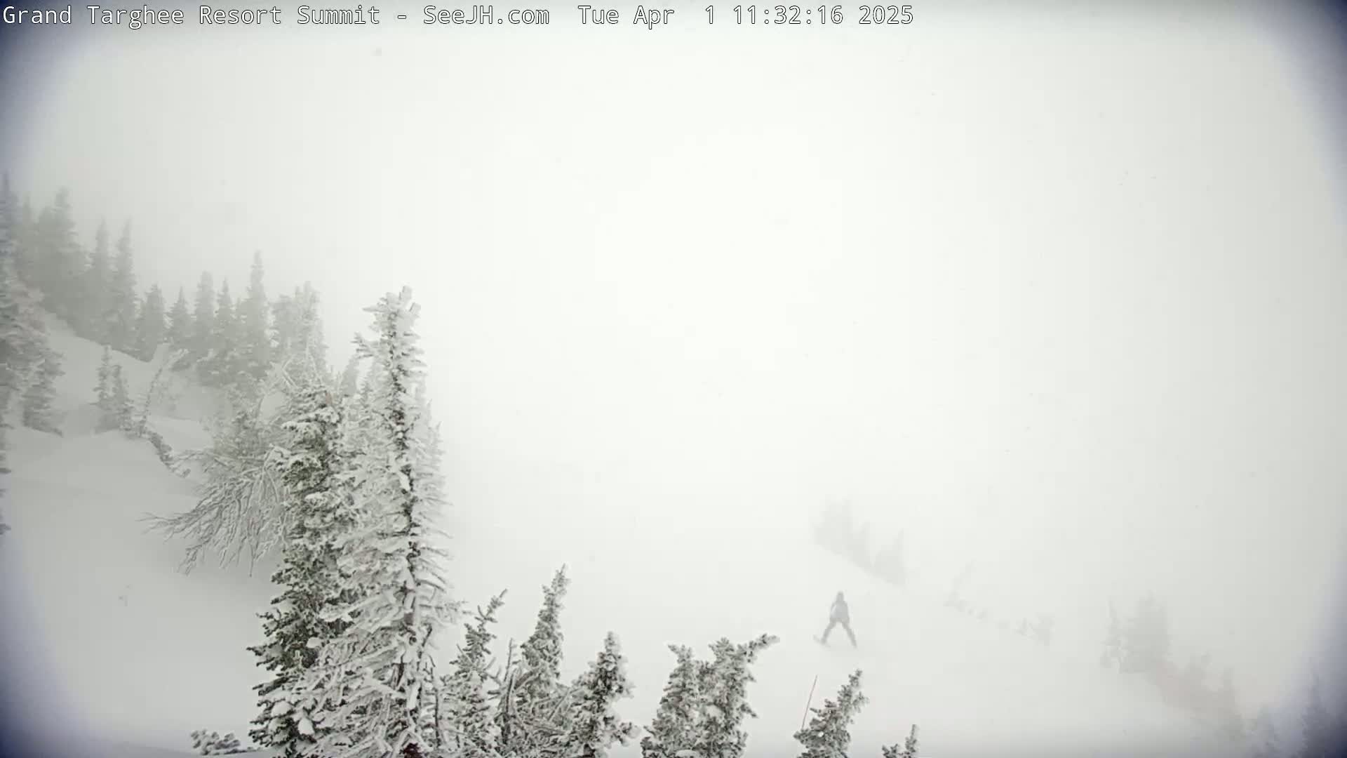 A snow-covered mountain slope is visible through heavy snowfall, with snow-laden evergreen trees in the foreground and a lone figure snowboarding in the distance.