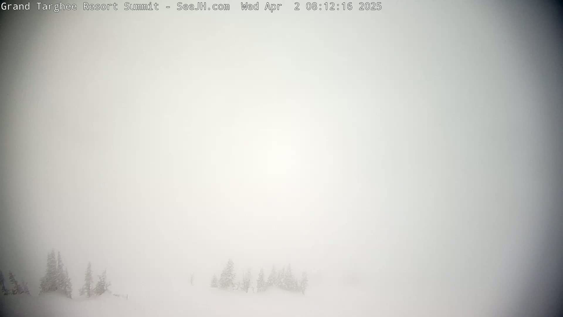 A snowy landscape is barely visible through a thick fog, with a few small evergreen trees clustered in the lower middle ground.