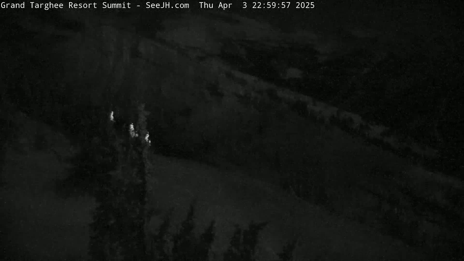A nighttime, low-light view shows a dark, snow-covered slope with sparse, dark trees.