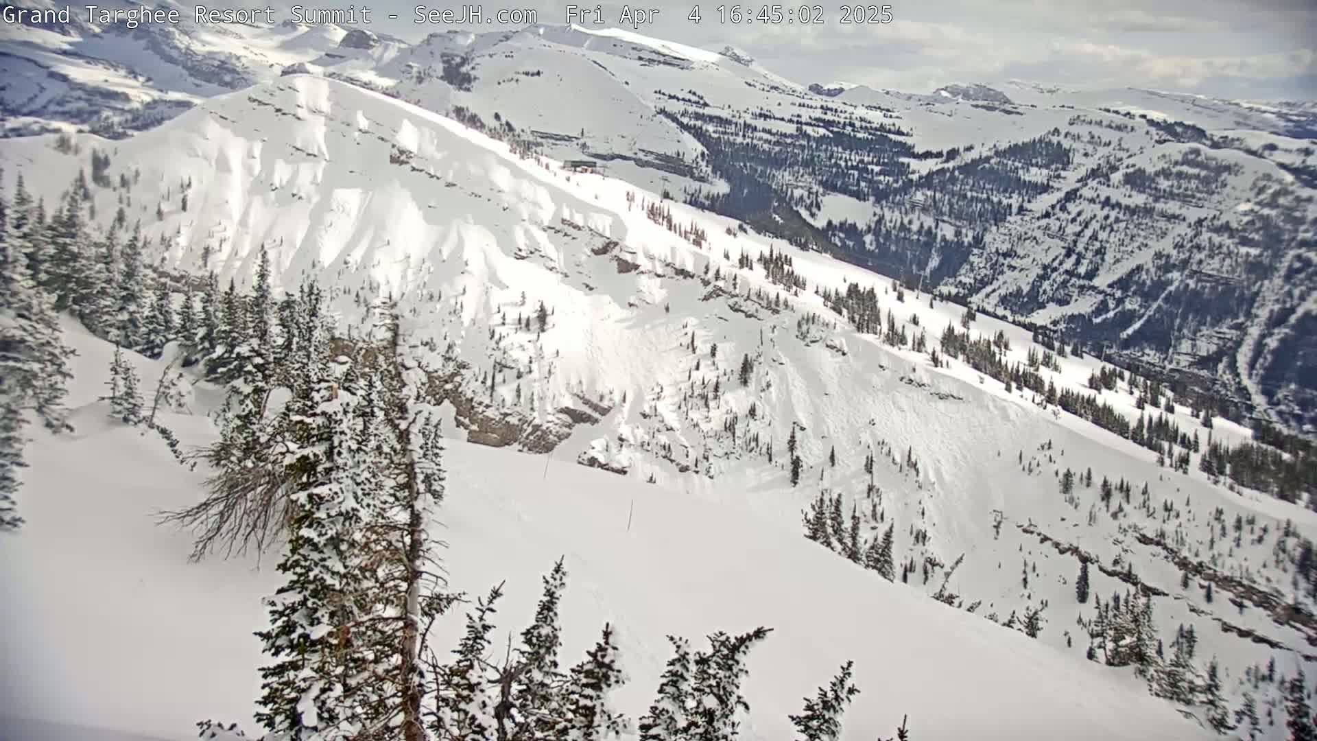 A snow-covered mountain slope with evergreen trees, under partly cloudy skies, shows evidence of recent avalanche activity.