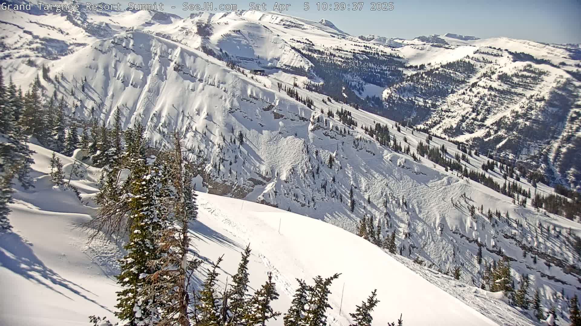 A snow-covered mountain slope with evergreens, under sunny conditions, shows numerous ski runs and avalanche paths.