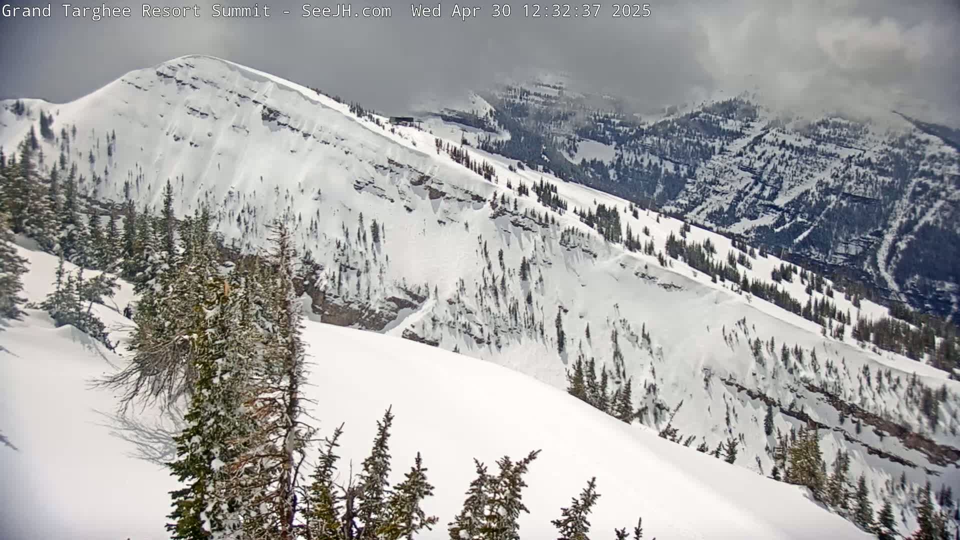 A snow-covered mountain slope with evergreen trees, under cloudy skies.