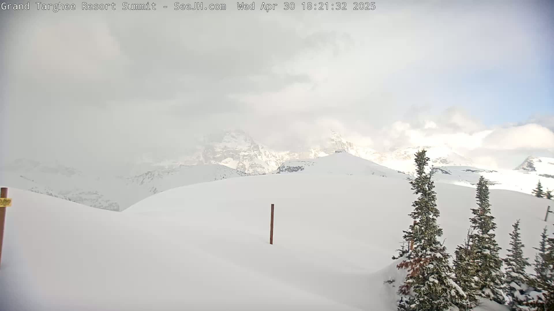 Snow-covered mountains are visible in the distance under a cloudy sky, with a few snow-covered evergreen trees in the foreground.