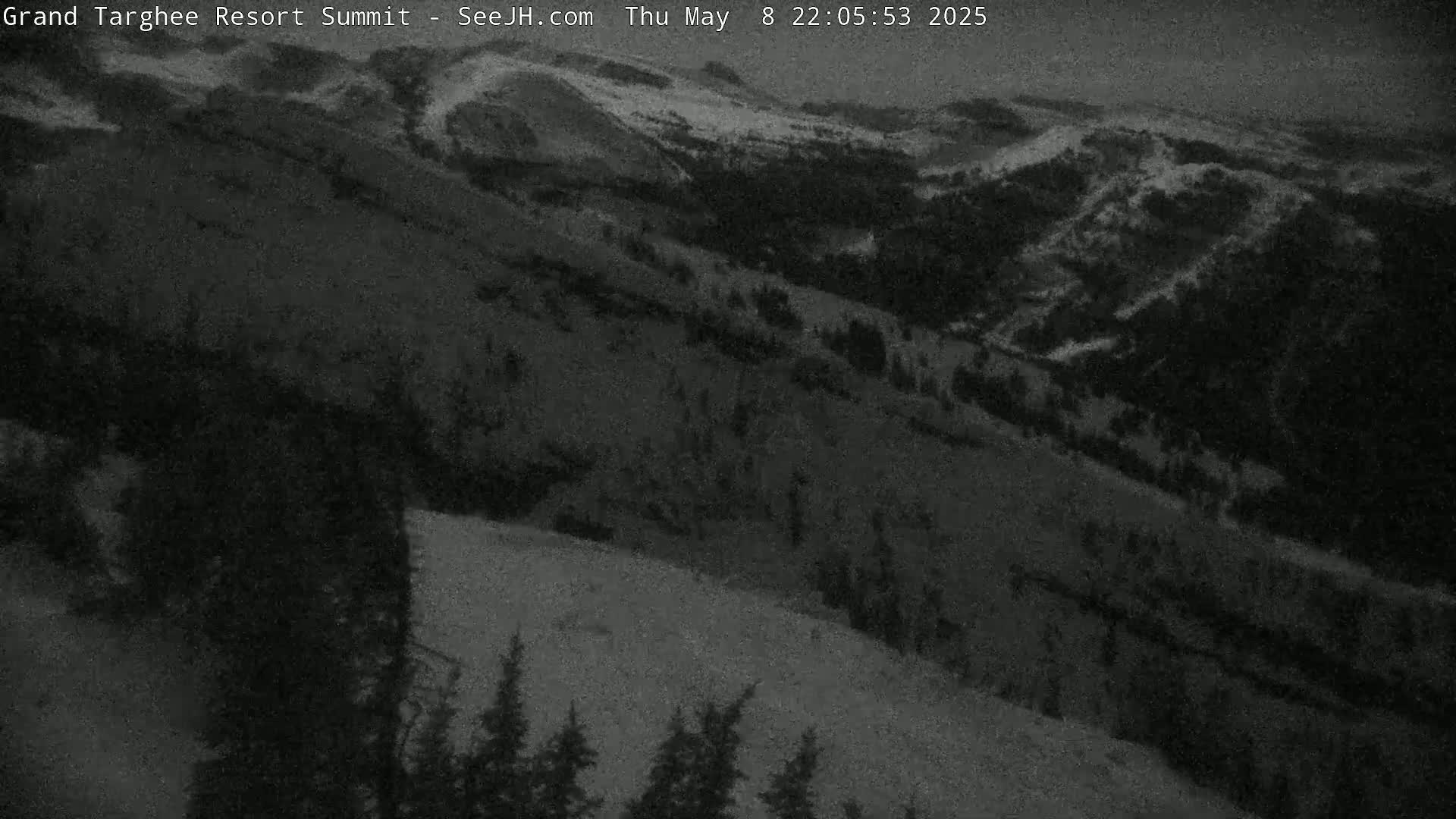 A nighttime, low-light view of a snow-covered mountain slope with dark evergreen trees in the foreground.