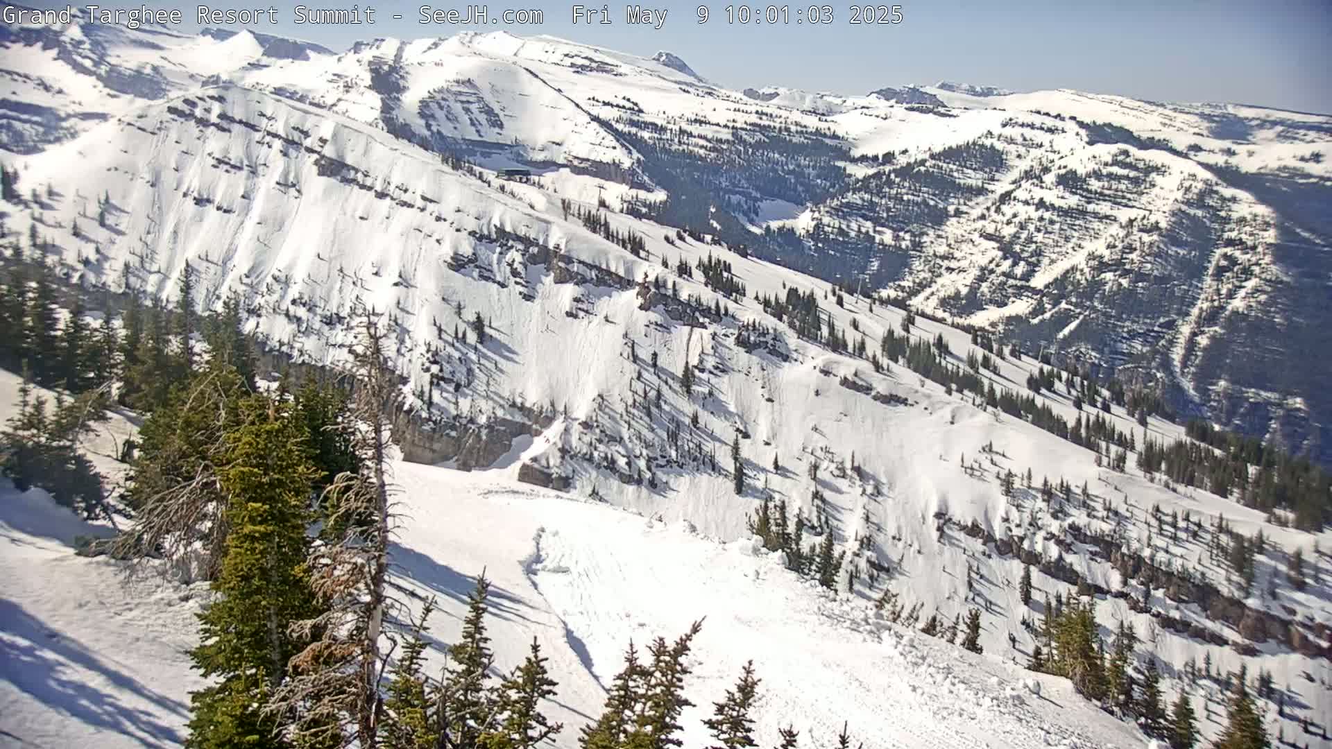 A sunny, snow-covered mountain slope with evergreen trees, showing several ski runs and evidence of recent snow avalanches.