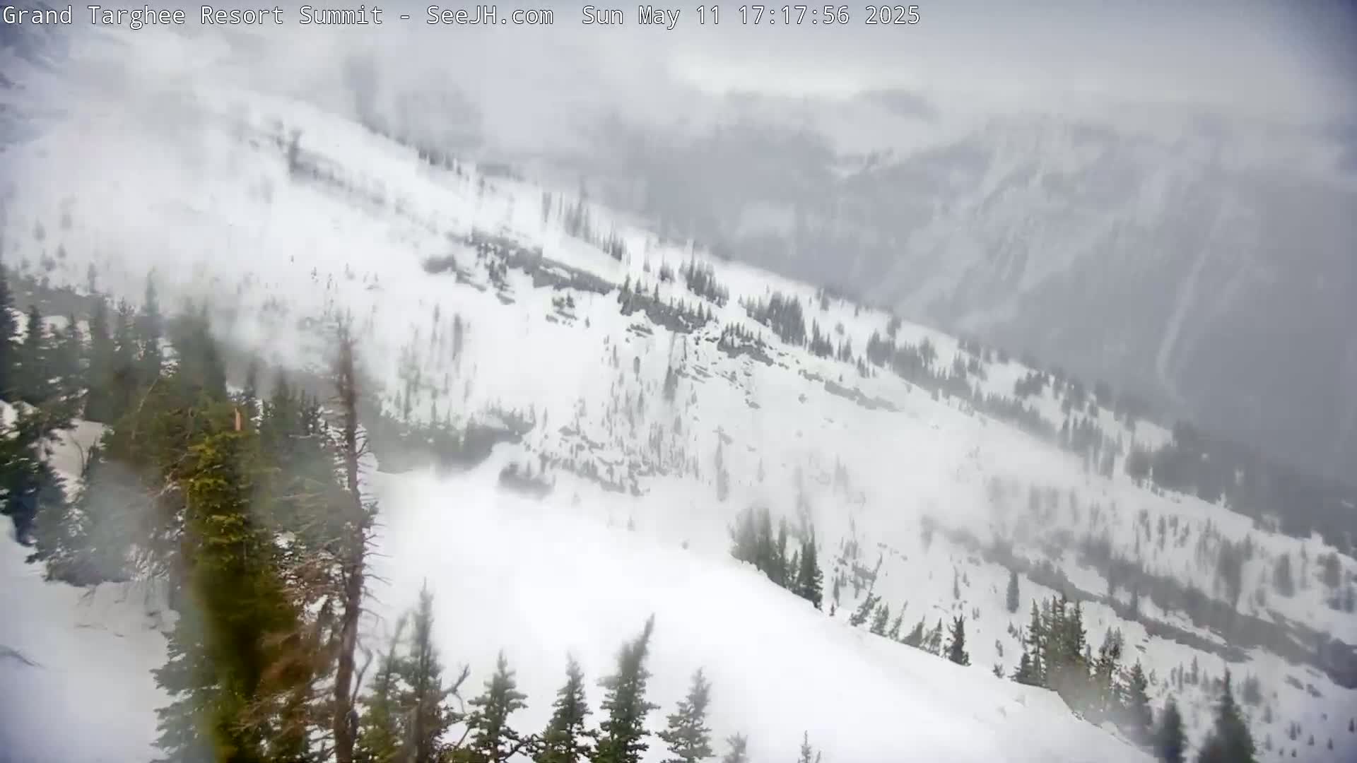 A large snow avalanche rushes down a snowy mountainside amidst blowing snow and a covering of evergreen trees.