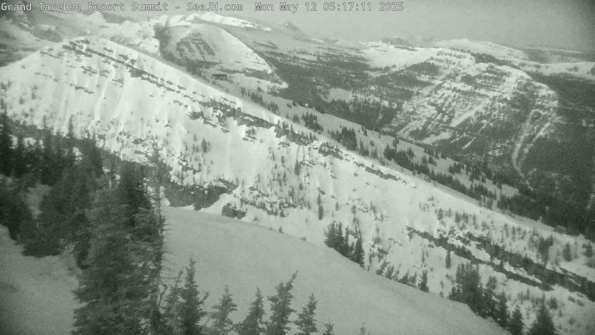 A high-angle, grayscale view shows a snow-covered mountain slope with evergreen trees at the bottom, under overcast skies.