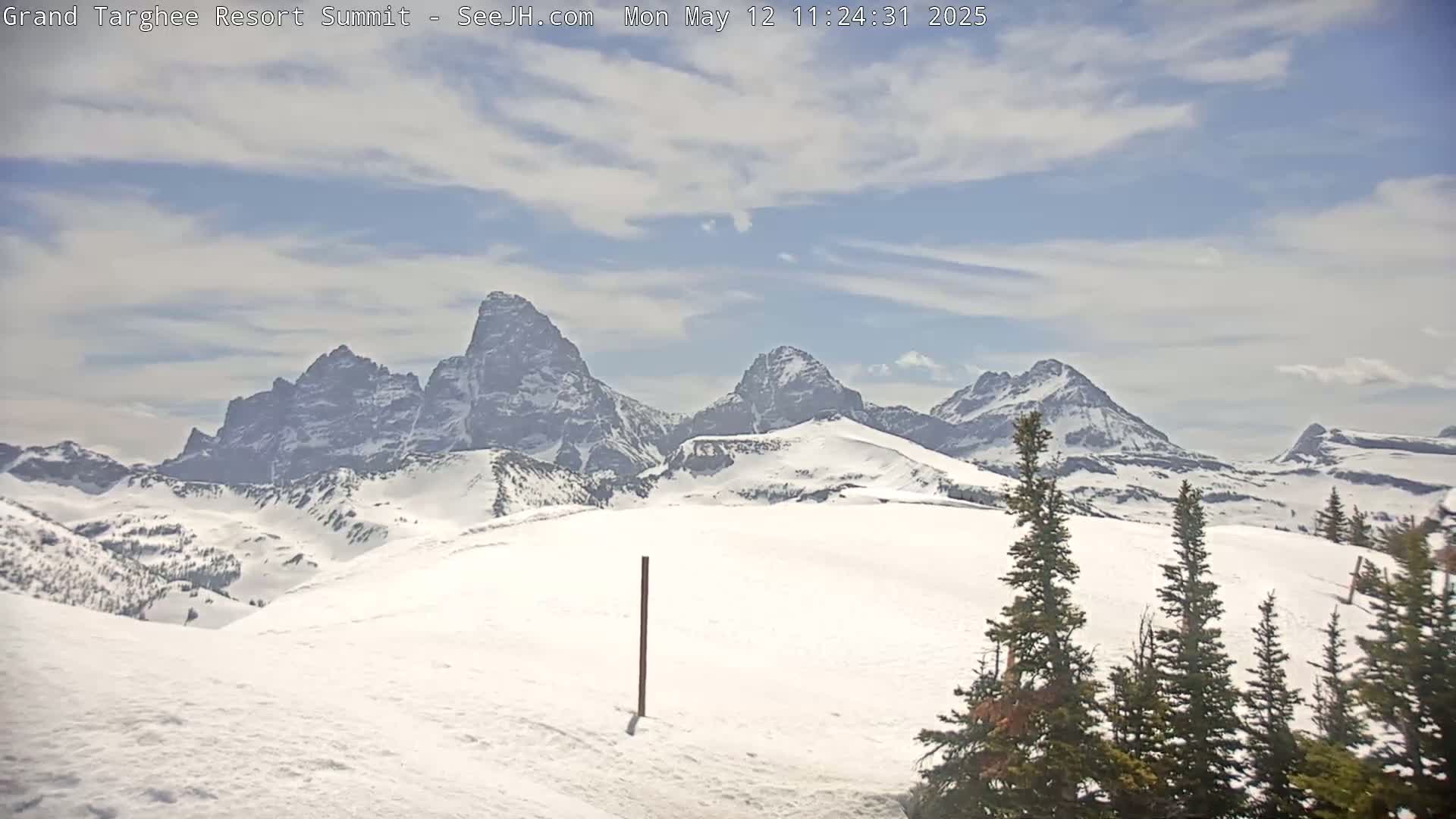 A snow-covered mountain range with a partly cloudy sky is visible from a snowy viewpoint with a few evergreen trees in the foreground.