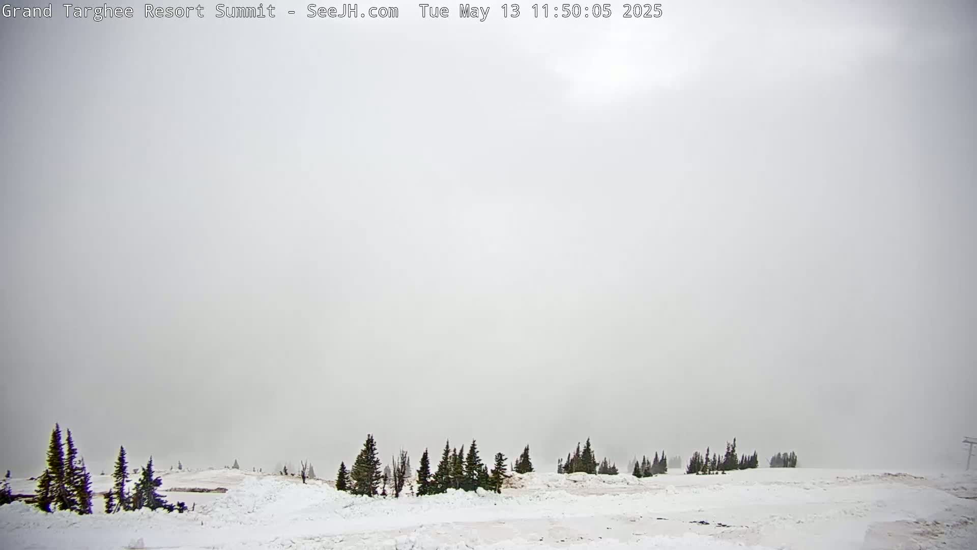 Freds Mountain Summit Ski Slopes Grand Targhee Live Cam - Alta, Teton, Wyoming, USA