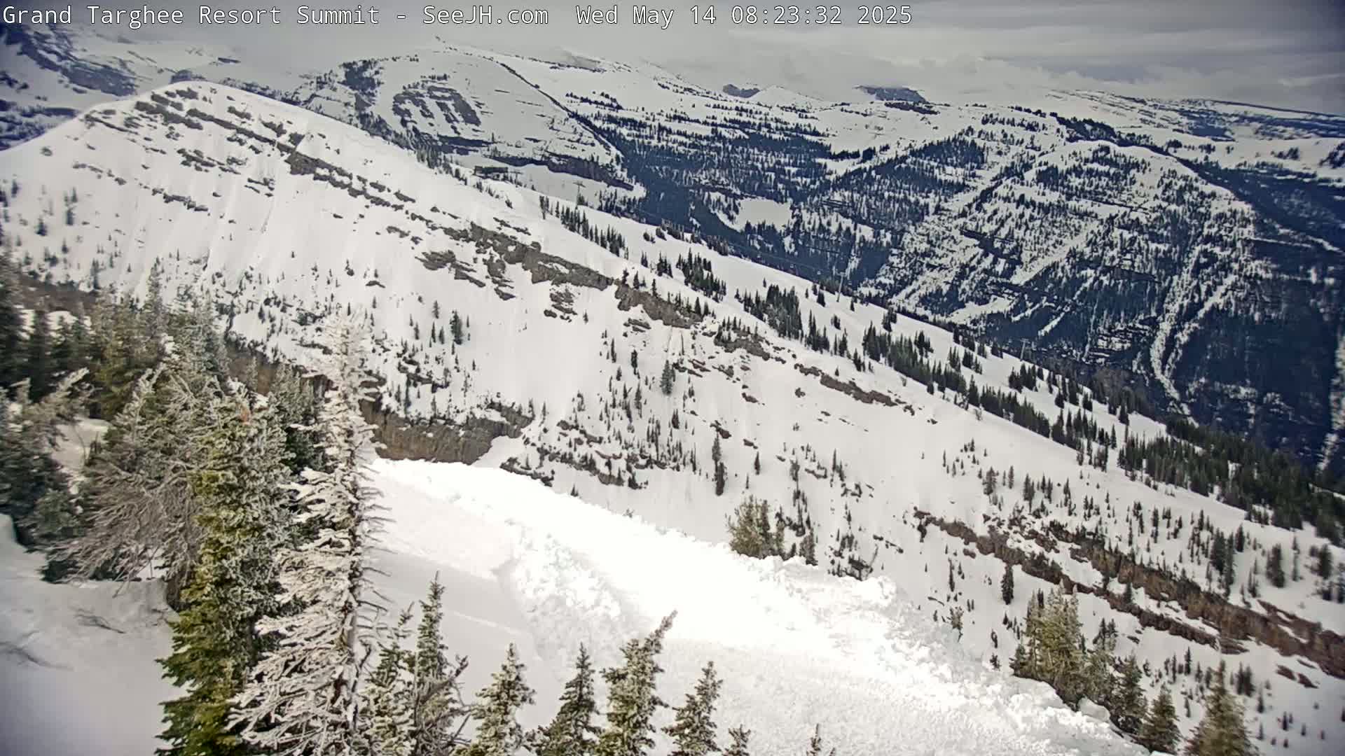 A snow-covered mountain slope with evergreens, a large snow avalanche, and a cloudy sky is visible.