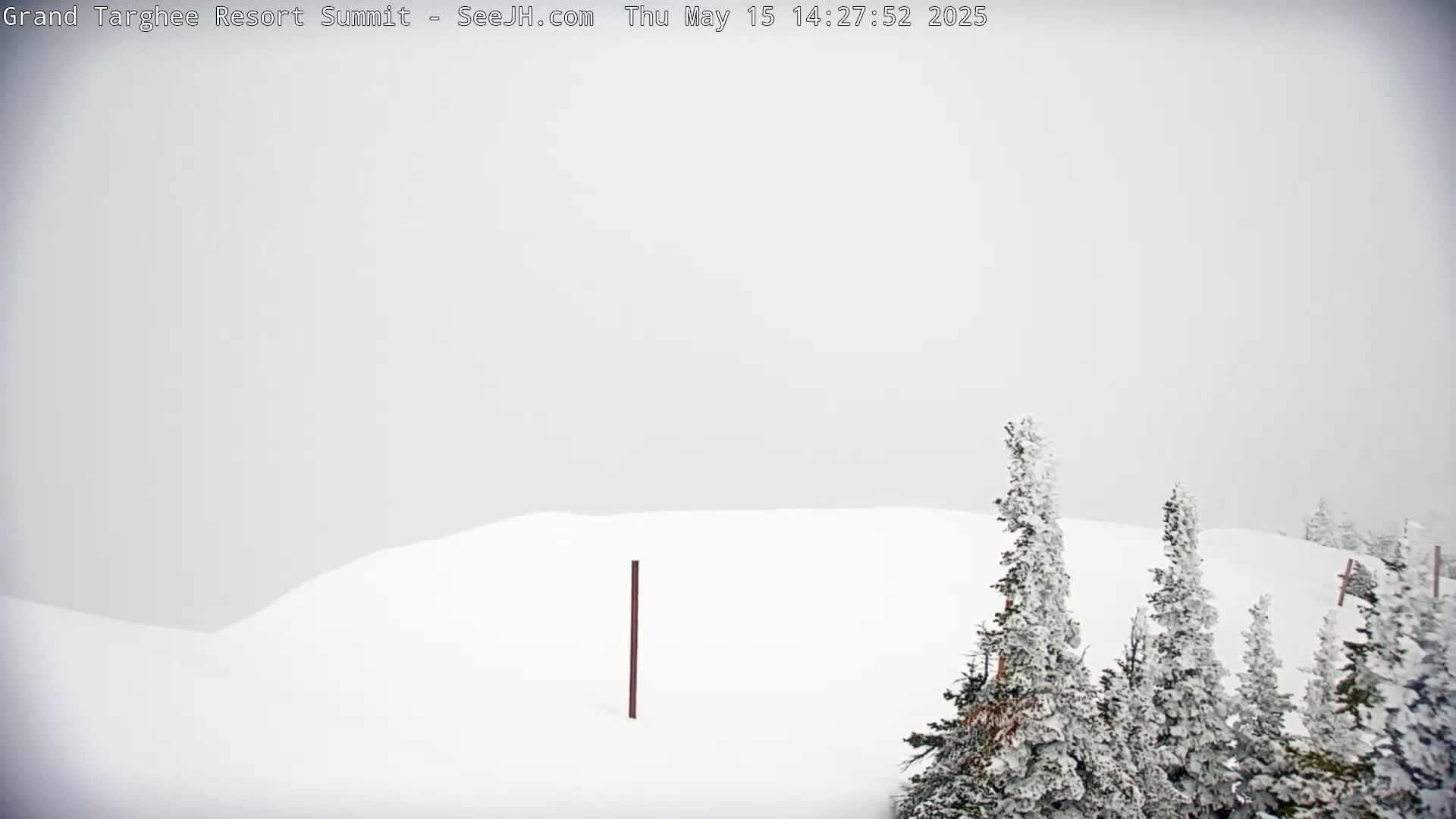 A snow-covered landscape with snow-laden evergreens is visible under foggy, overcast conditions.
