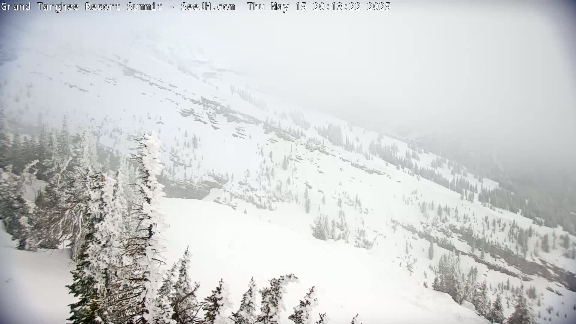 Freds Mountain Summit Ski Slopes Grand Targhee Live Cam - Alta, Teton, Wyoming, USA