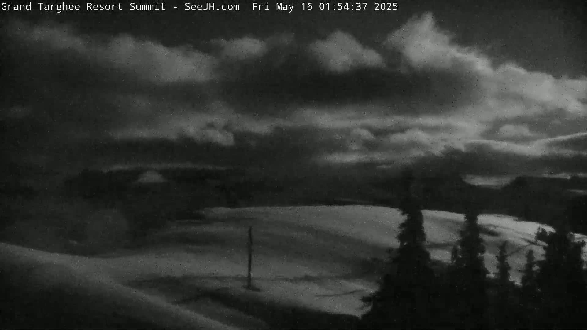 A nighttime, snowy landscape with a cloudy sky is visible, featuring a few dark evergreen trees in the foreground.