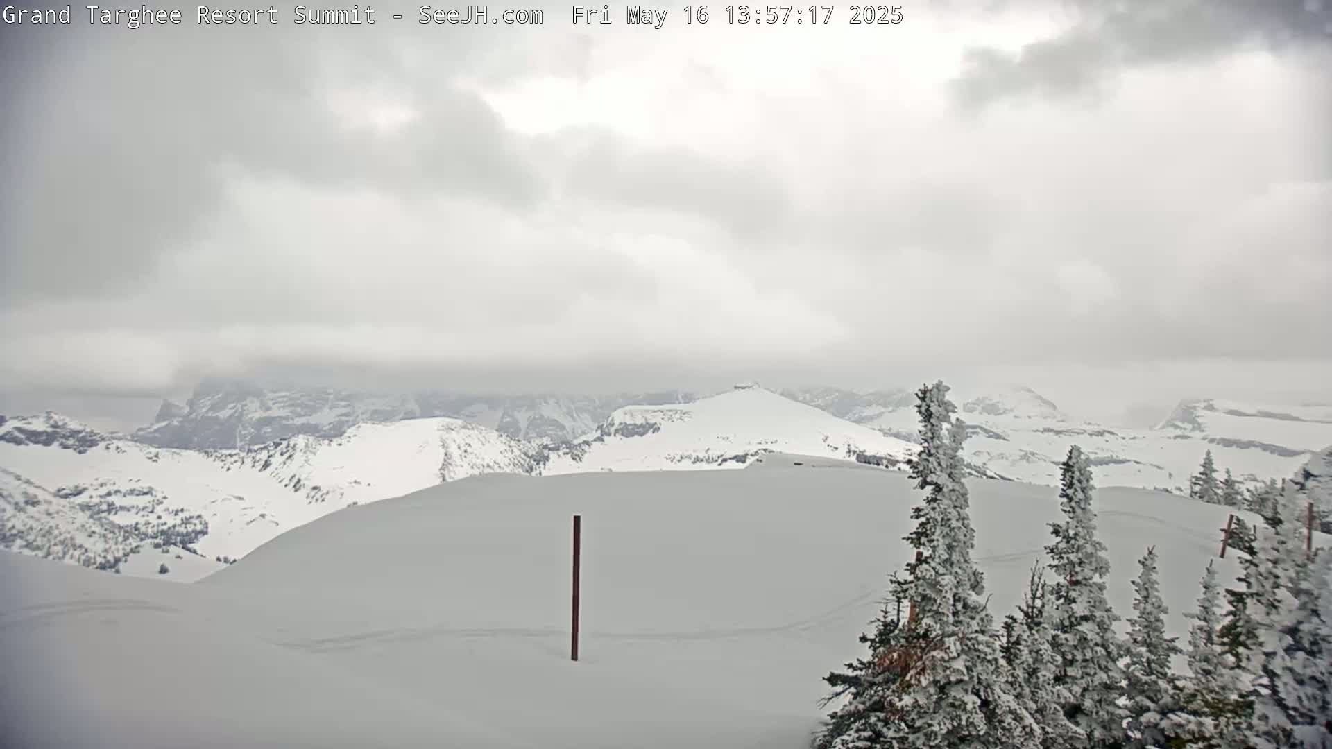 A snow-covered mountain range is visible under an overcast sky, with snow-laden evergreen trees in the foreground.