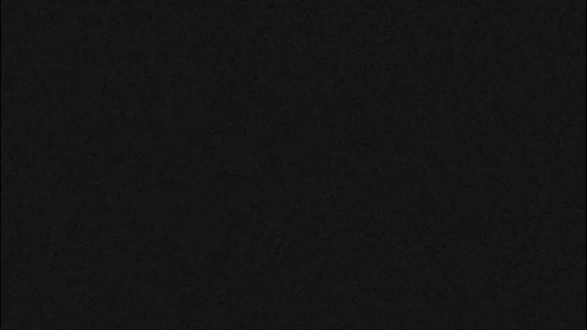 The image is a solid black background with a slightly textured appearance.