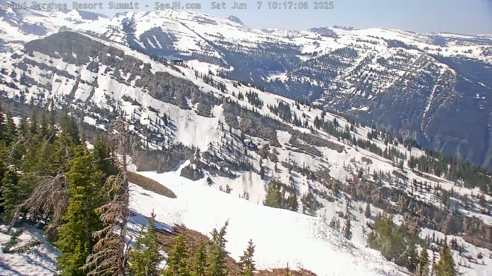 A snow-covered mountain slope with scattered evergreen trees under a bright, sunny sky.