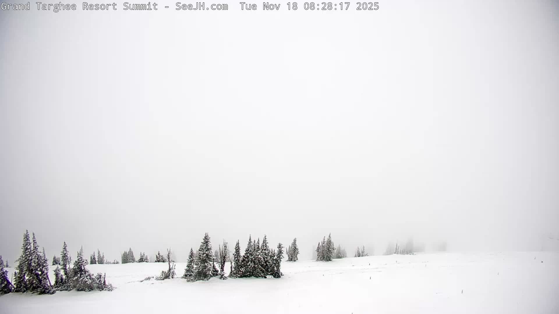 The image displays a completely black scene with faint digital noise, indicating an outdoor view at night with extremely poor or zero visibility.