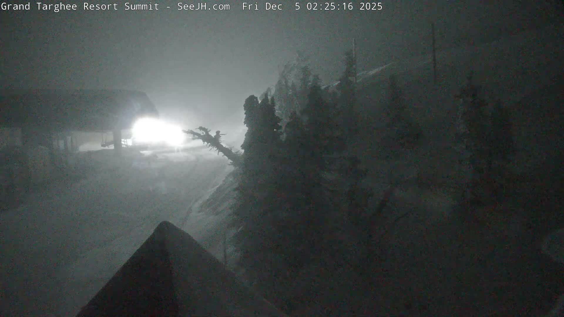 A nighttime view of a snow-covered mountain resort reveals a brightly lit building and snow-laden trees under heavy snowfall or blizzard conditions.