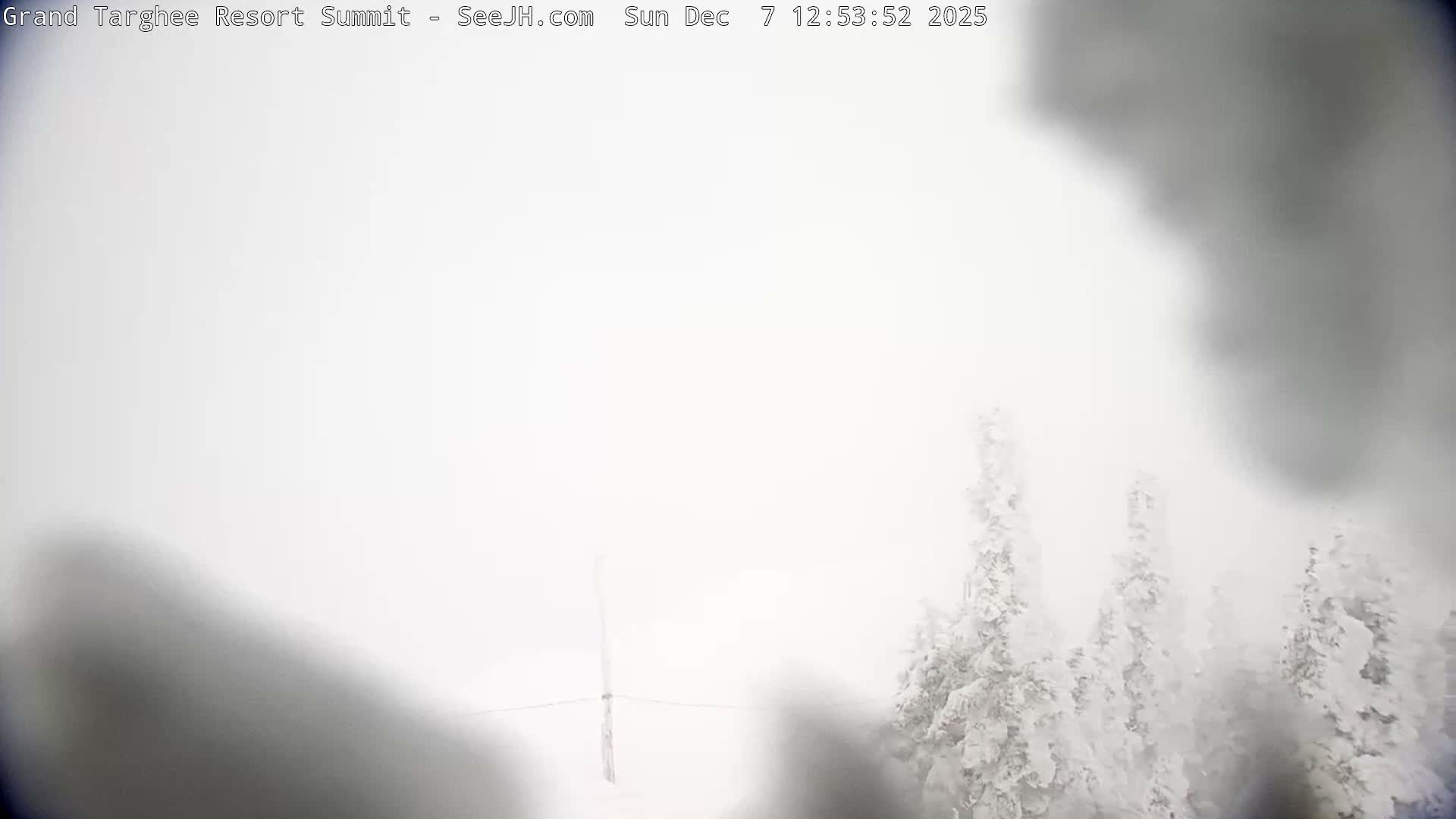 Freds Mountain Summit Ski Slopes Grand Targhee Live Cam - Alta, Teton, Wyoming, USA