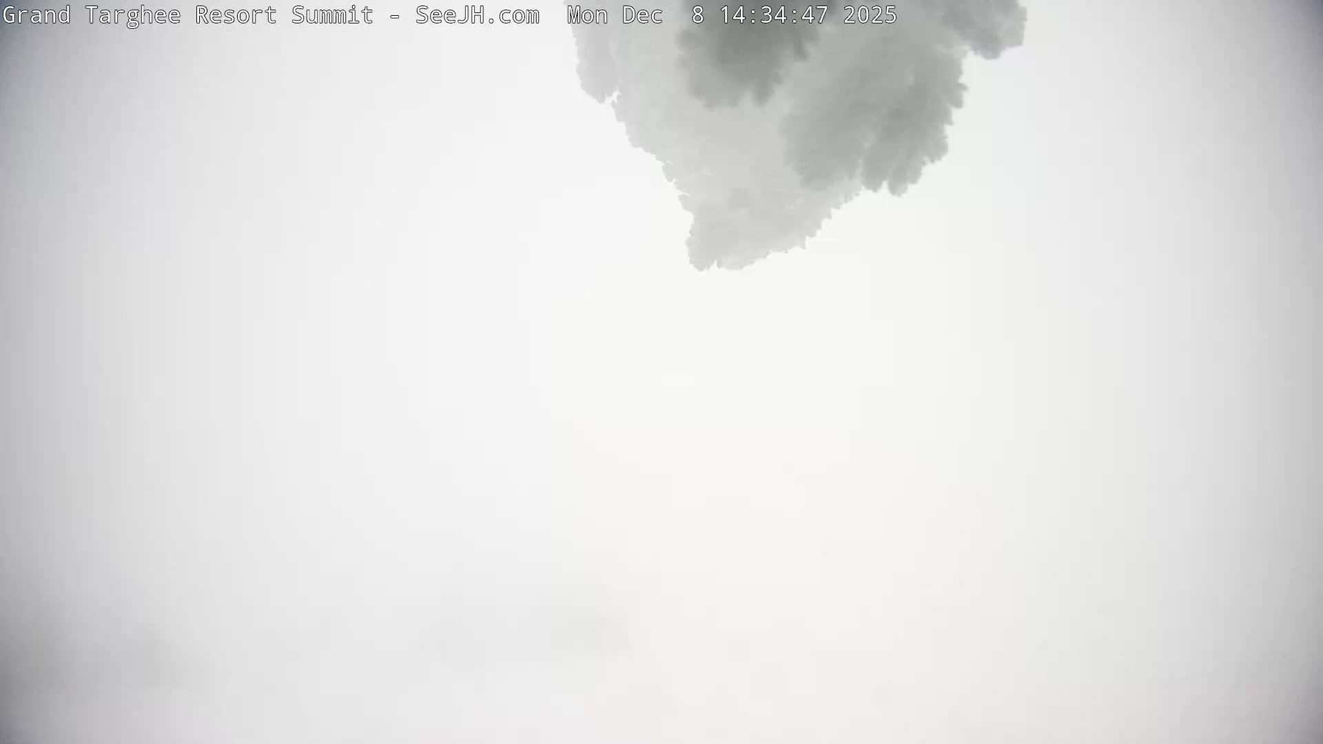 Freds Mountain Summit Ski Slopes Grand Targhee Live Cam - Alta, Teton, Wyoming, USA