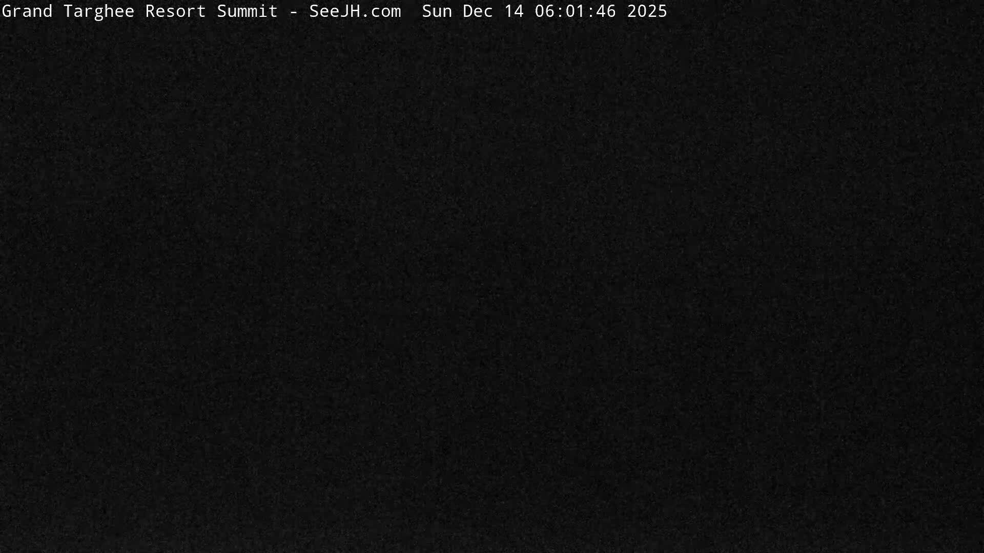 A nighttime view of a snow-covered mountain resort reveals a brightly lit building and snow-laden trees under heavy snowfall or blizzard conditions.