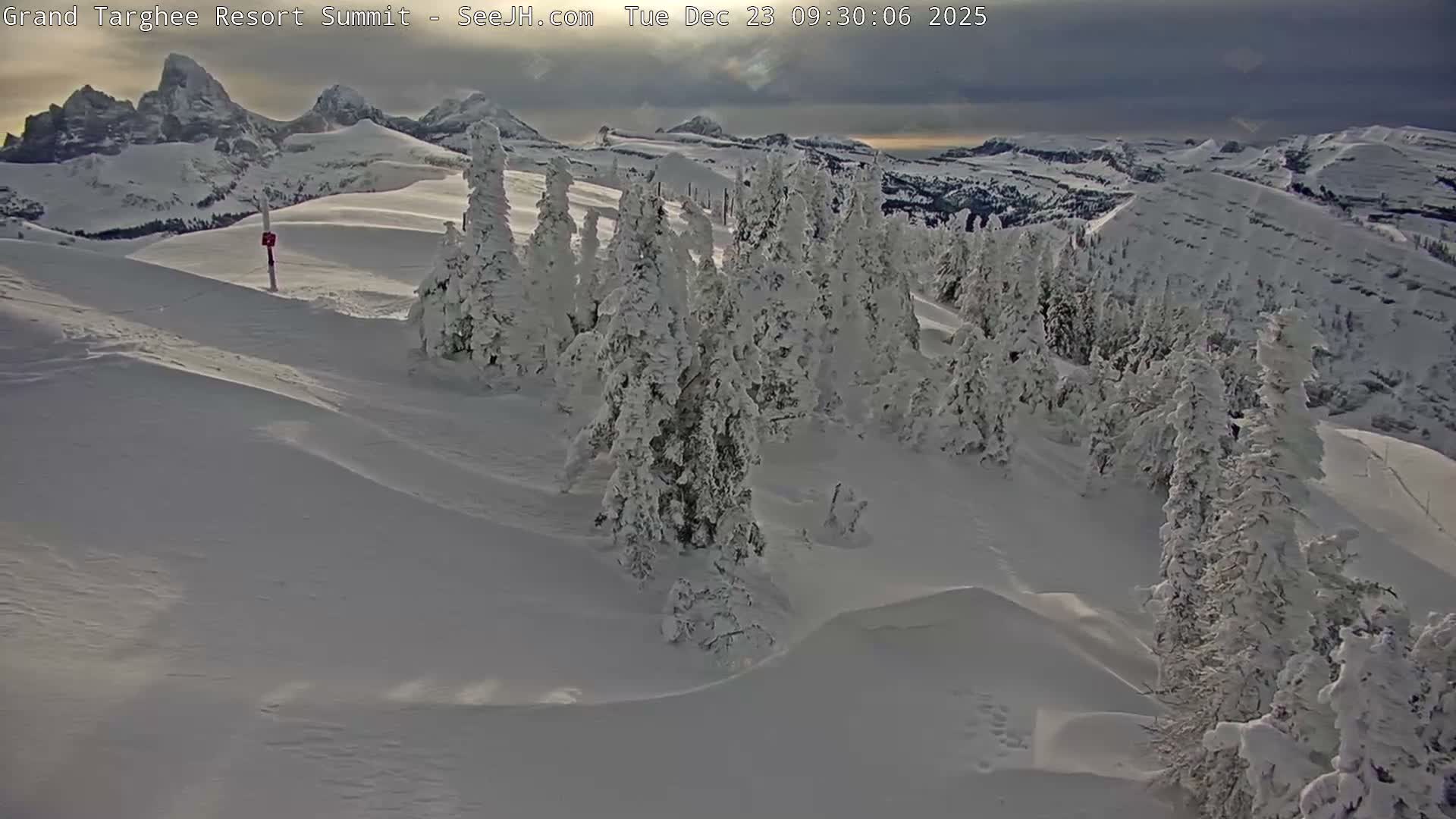 Freds Mountain Summit Ski Slopes Grand Targhee Live Cam - Alta, Teton, Wyoming, USA