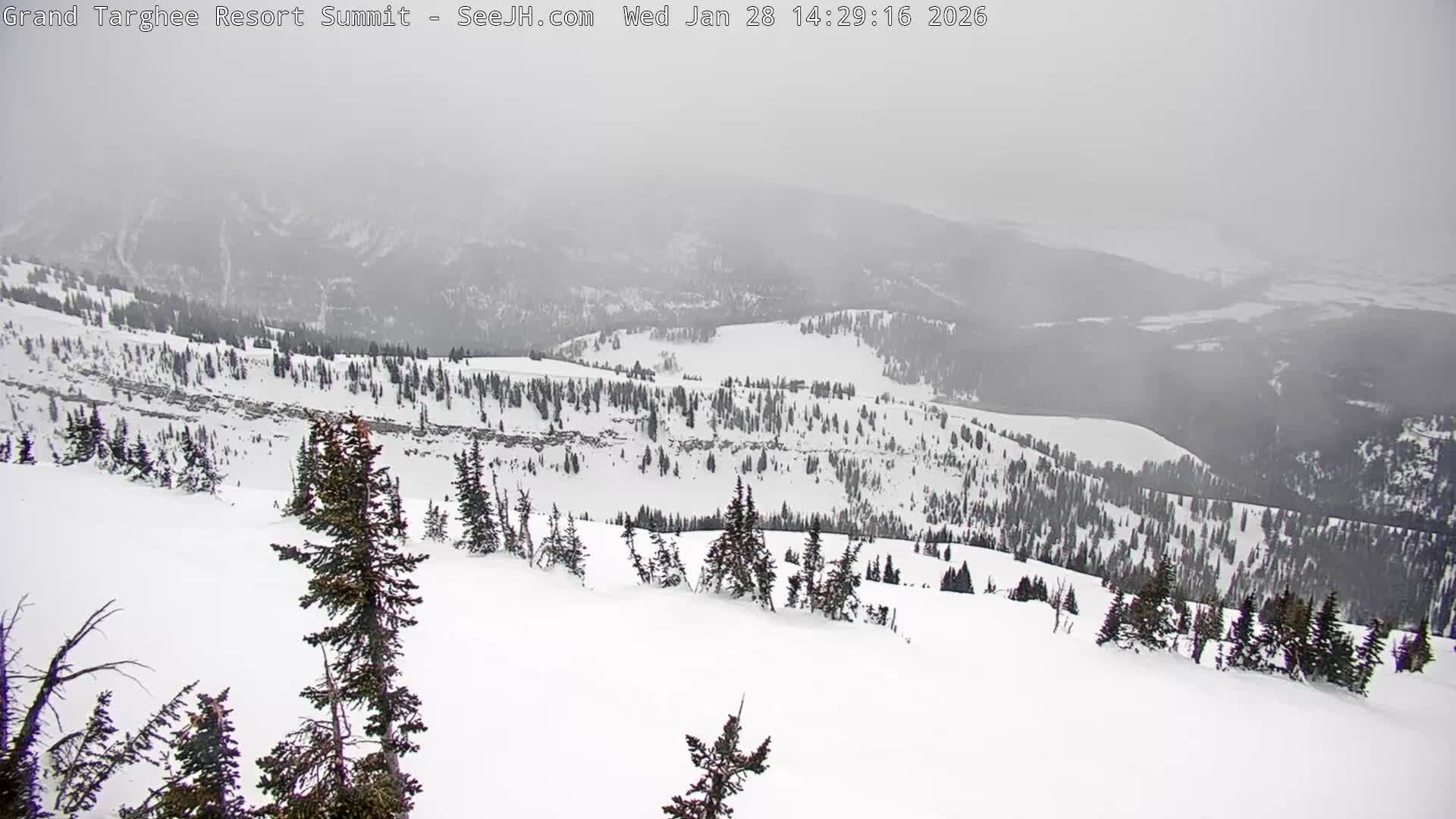 Freds Mountain Summit Ski Slopes Grand Targhee Live Cam - Alta, Teton, Wyoming, USA