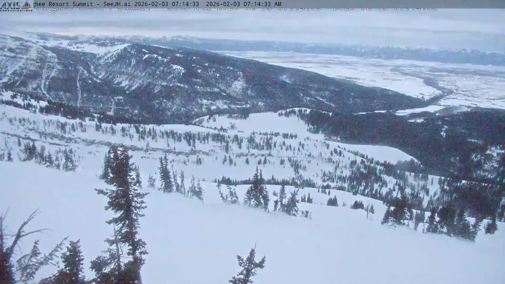 Freds Mountain Summit Ski Slopes Grand Targhee Live Cam - Alta, Teton, Wyoming, USA