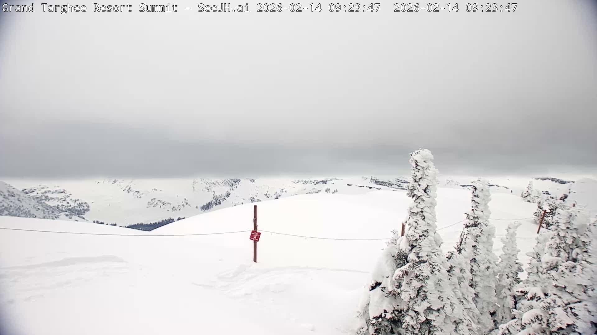 Freds Mountain Summit Ski Slopes Grand Targhee Live Cam - Alta, Teton, Wyoming, USA