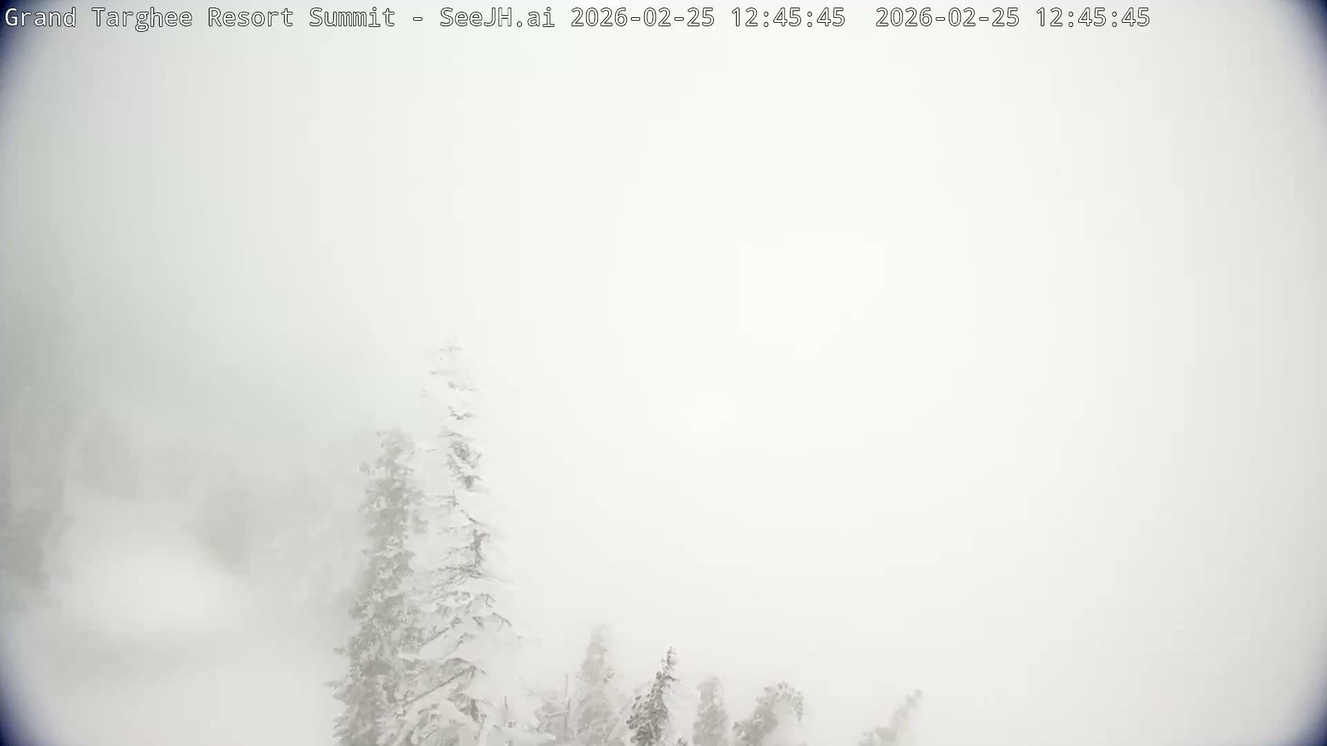 Freds Mountain Summit Ski Slopes Grand Targhee Live Cam - Alta, Teton, Wyoming, USA