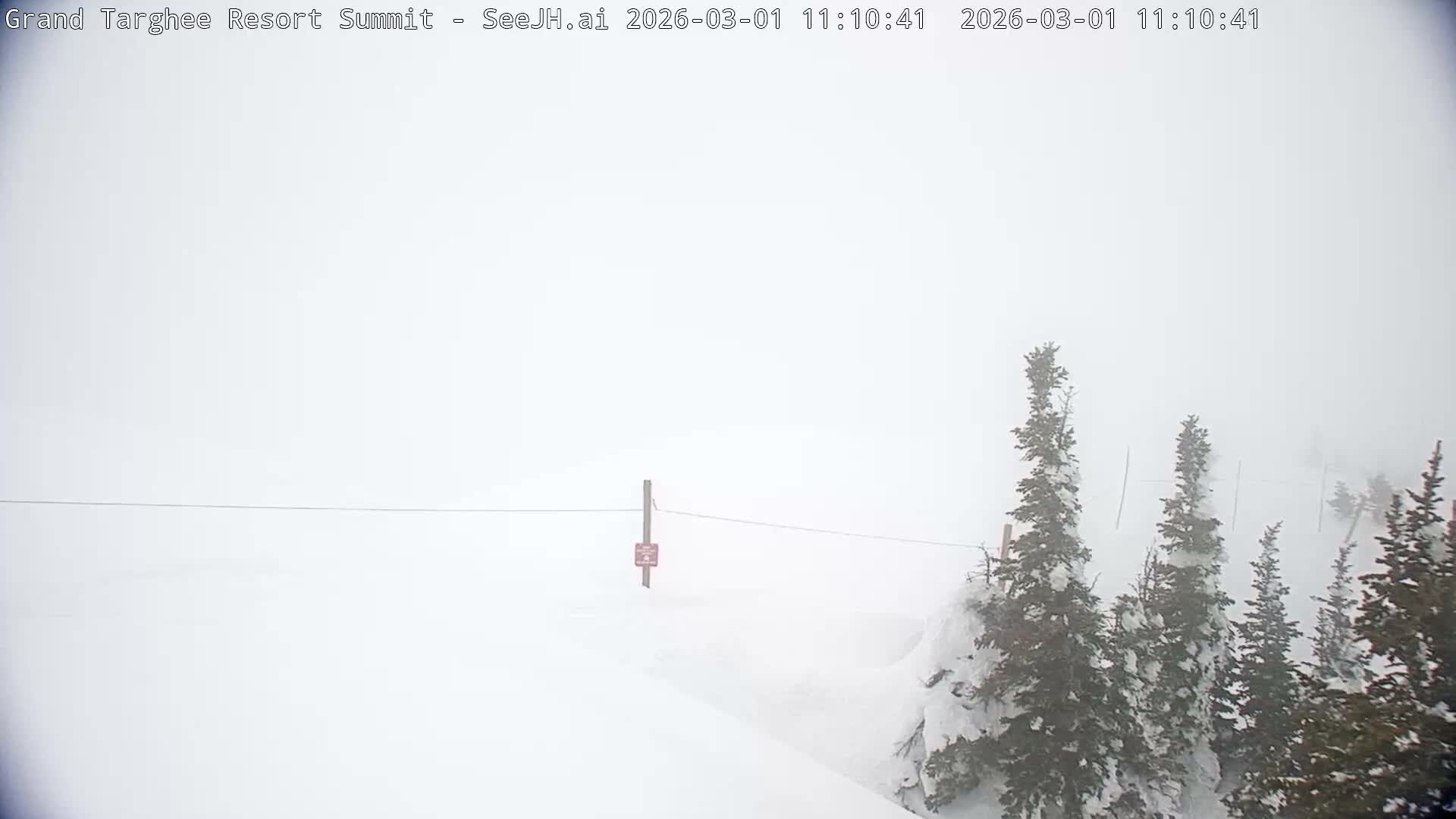 Freds Mountain Summit Ski Slopes Grand Targhee Live Cam - Alta, Teton, Wyoming, USA