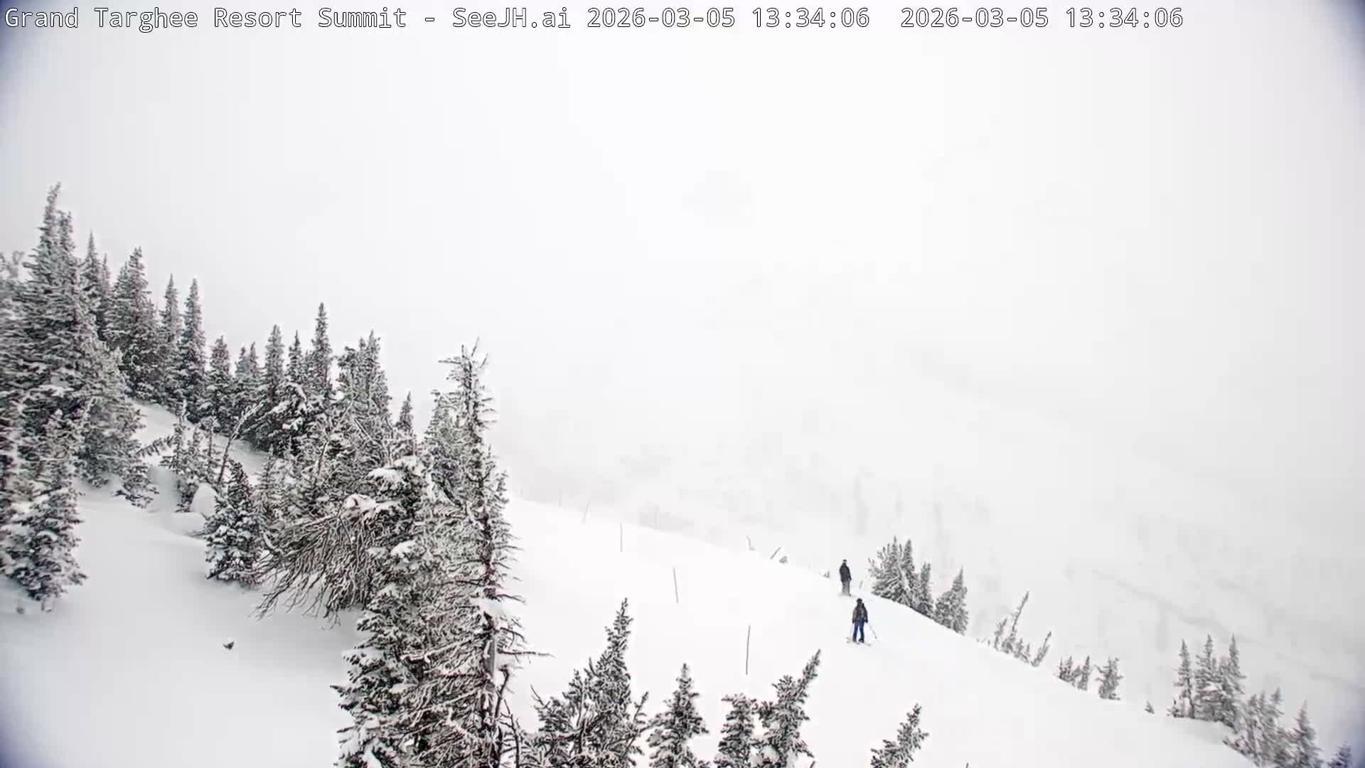 Freds Mountain Summit Ski Slopes Grand Targhee Live Cam - Alta, Teton, Wyoming, USA