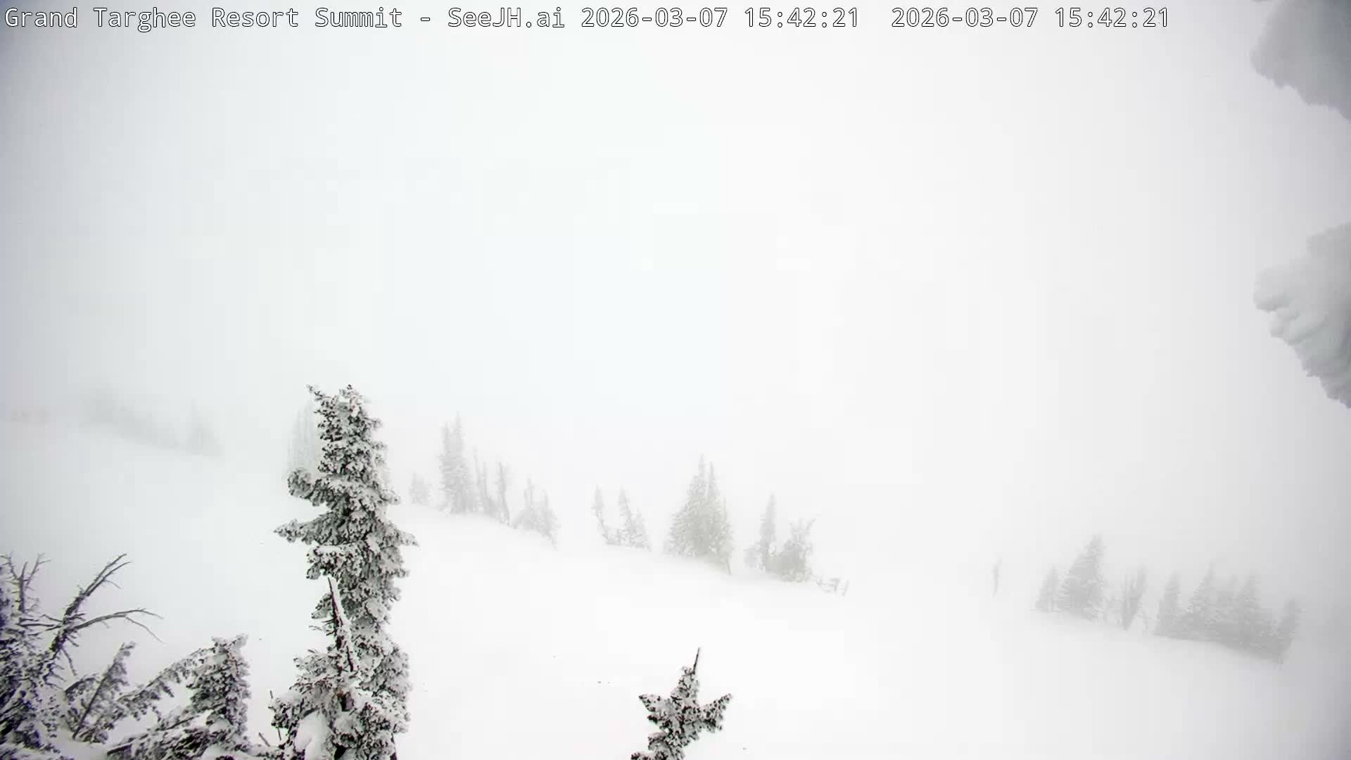 Freds Mountain Summit Ski Slopes Grand Targhee Live Cam - Alta, Teton, Wyoming, USA