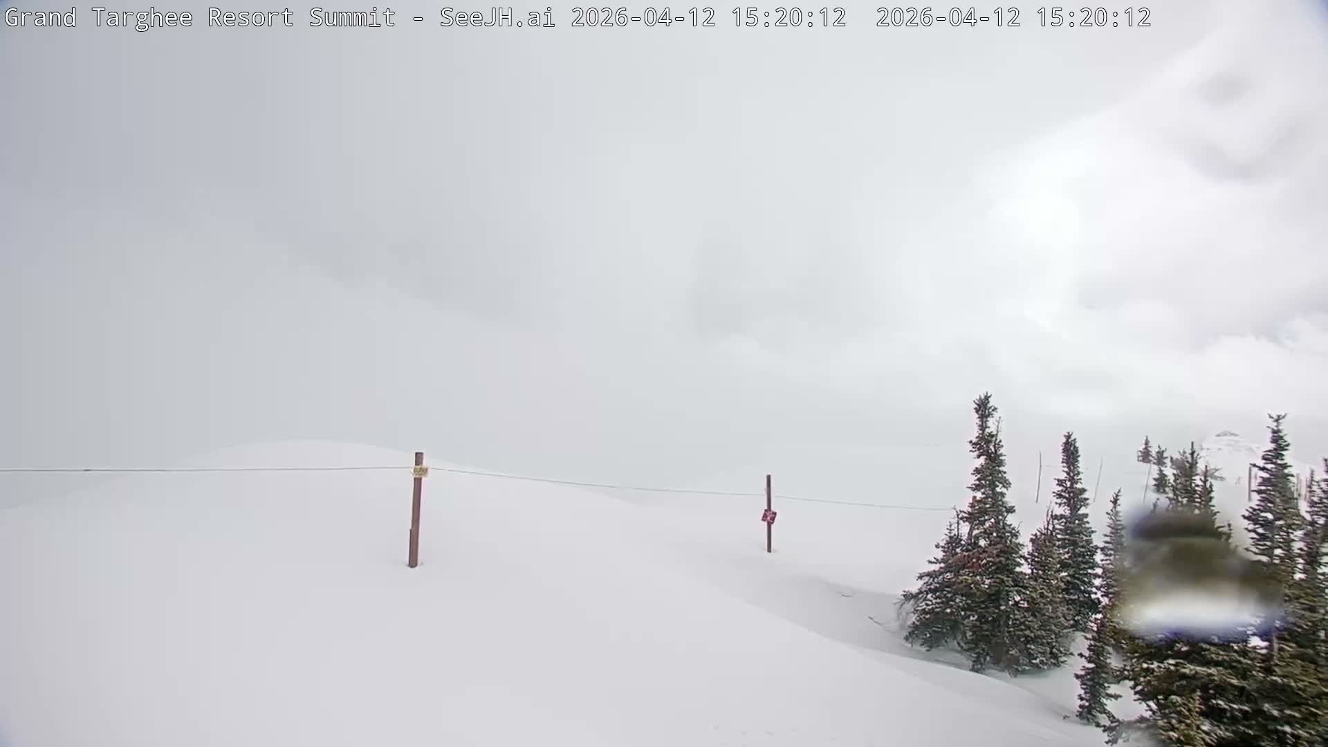 Freds Mountain Summit Ski Slopes Grand Targhee Live Cam - Alta, Teton, Wyoming, USA