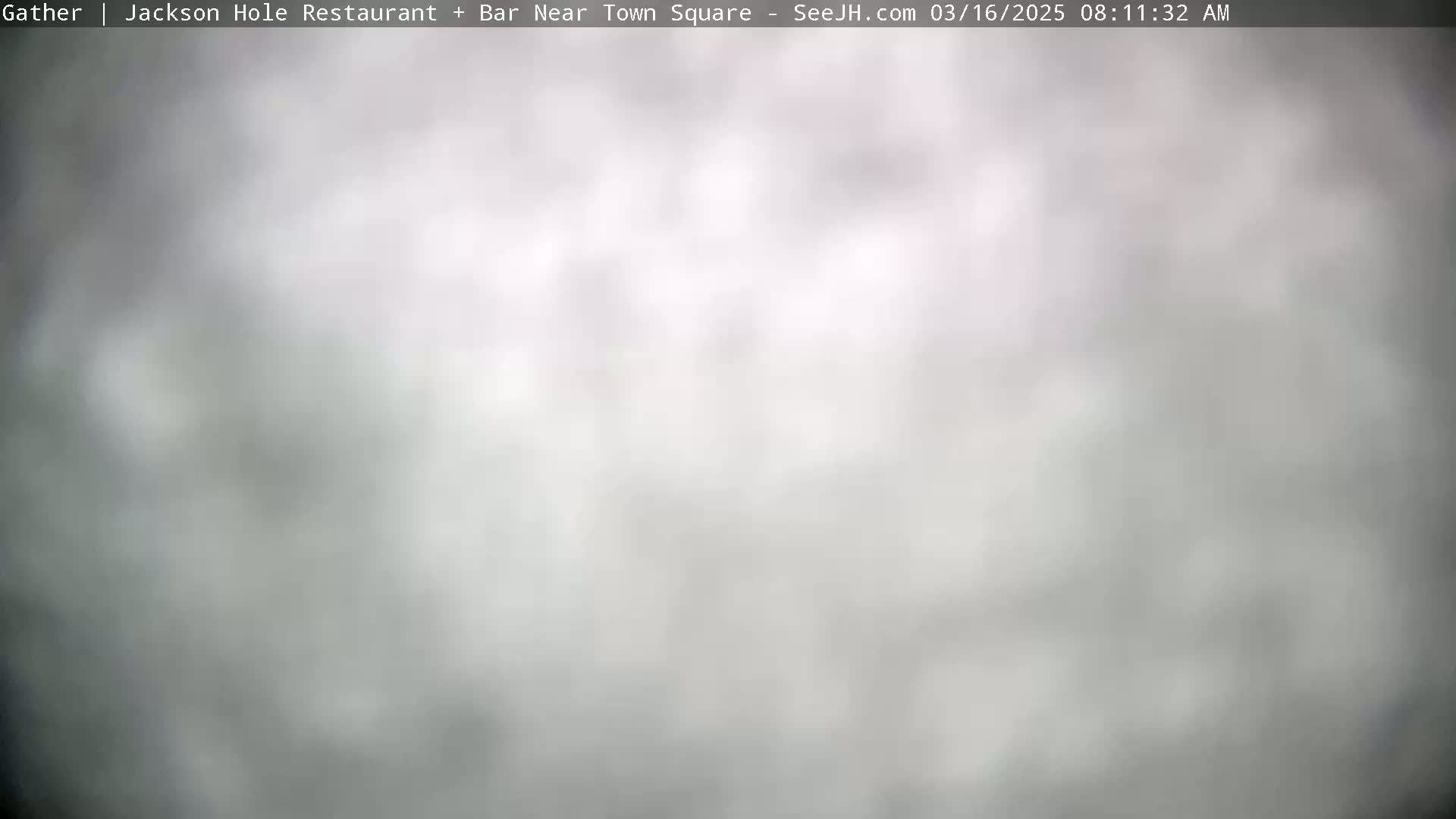A blurry, overcast outdoor scene is visible.
