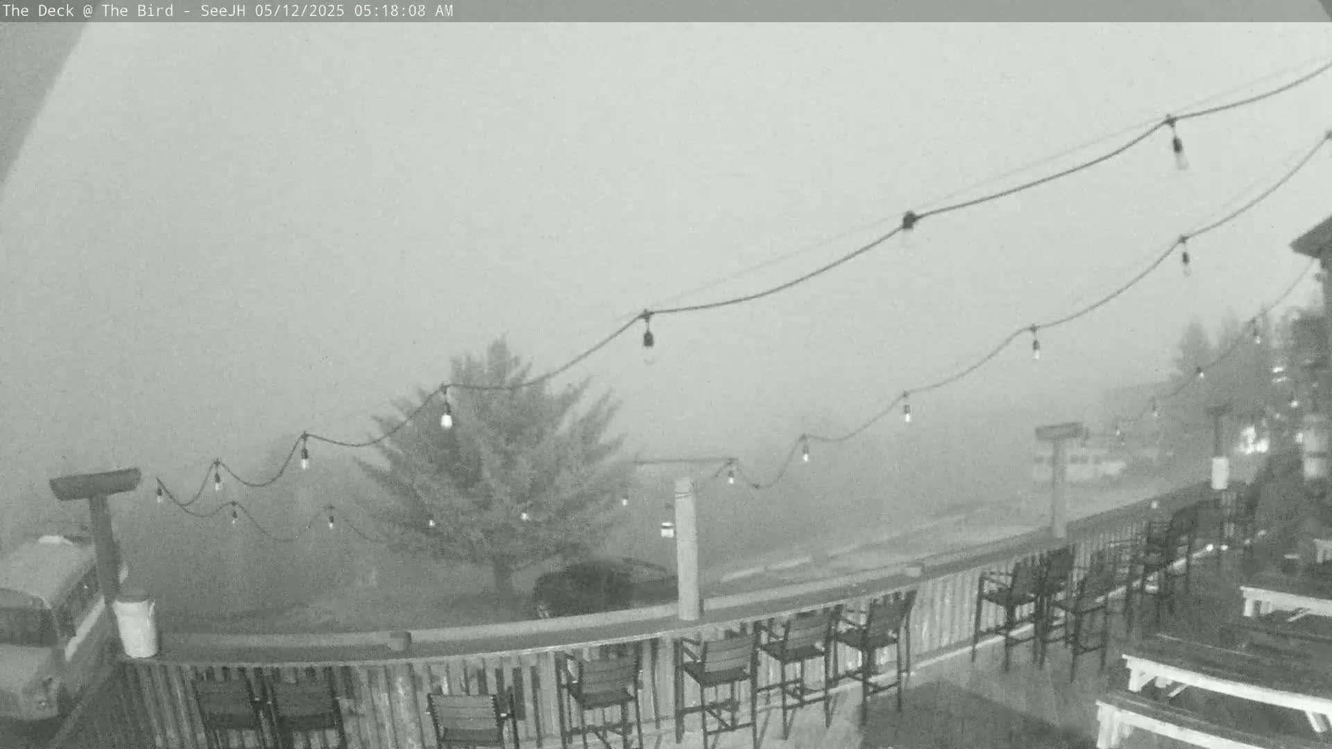 A foggy outdoor deck with string lights, several empty chairs and picnic tables, and a tree in the background.