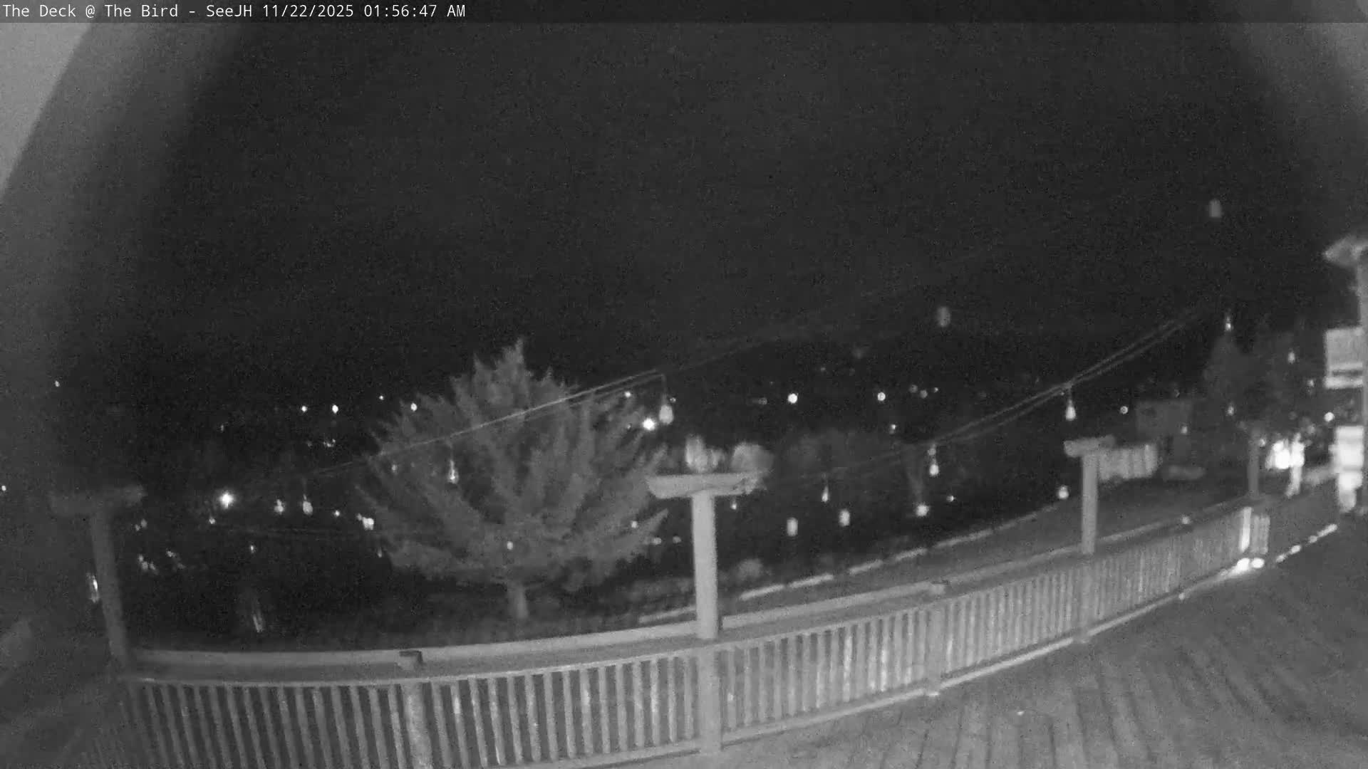 A dark, clear night scene from an outdoor deck reveals string lights strung across the view, a tree in the mid-ground, and scattered distant lights of what appears to be a town below.