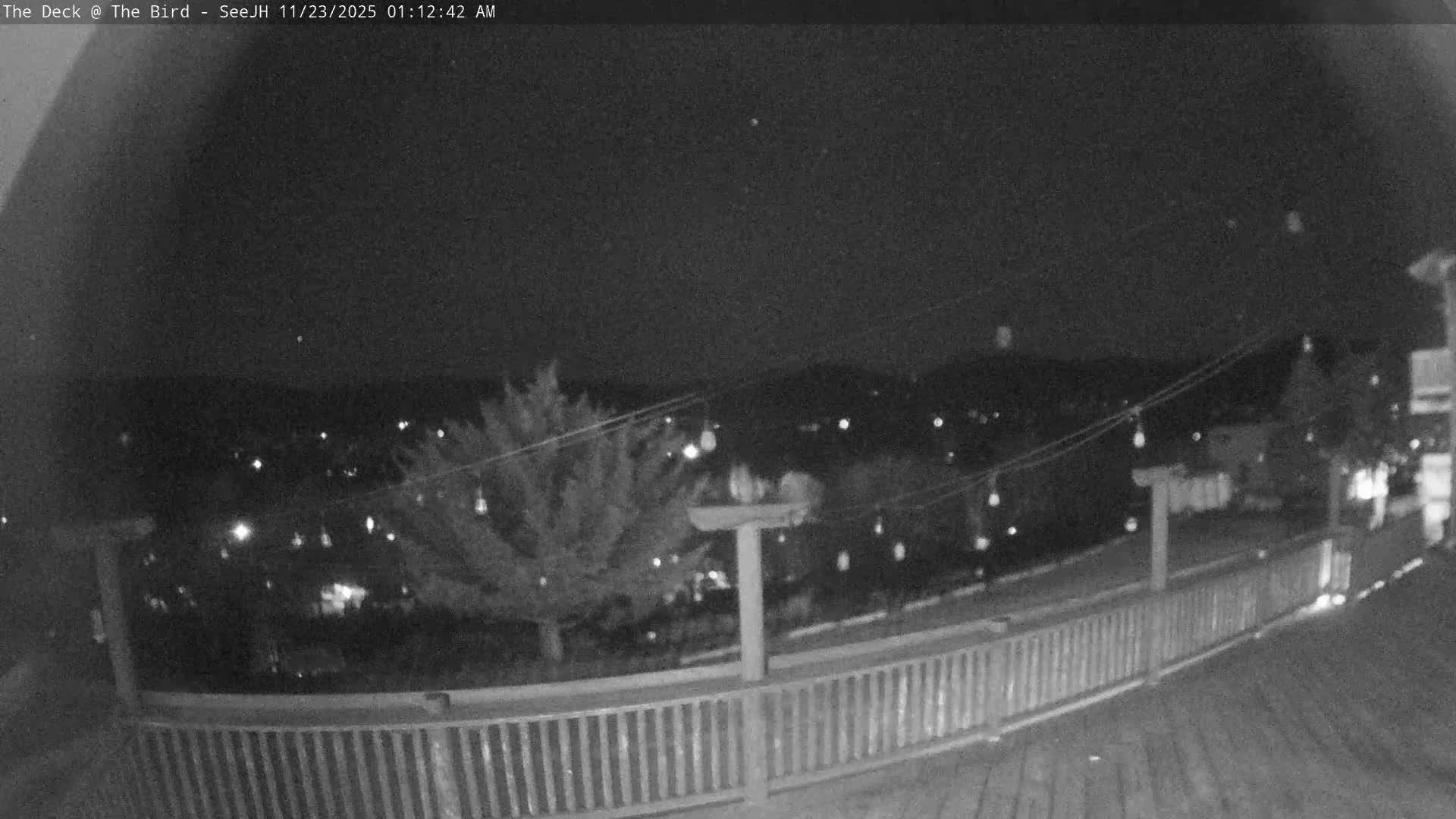A grainy, monochrome night scene captures a view from a deck with a wooden railing and string lights, looking out over distant city lights under a clear sky.