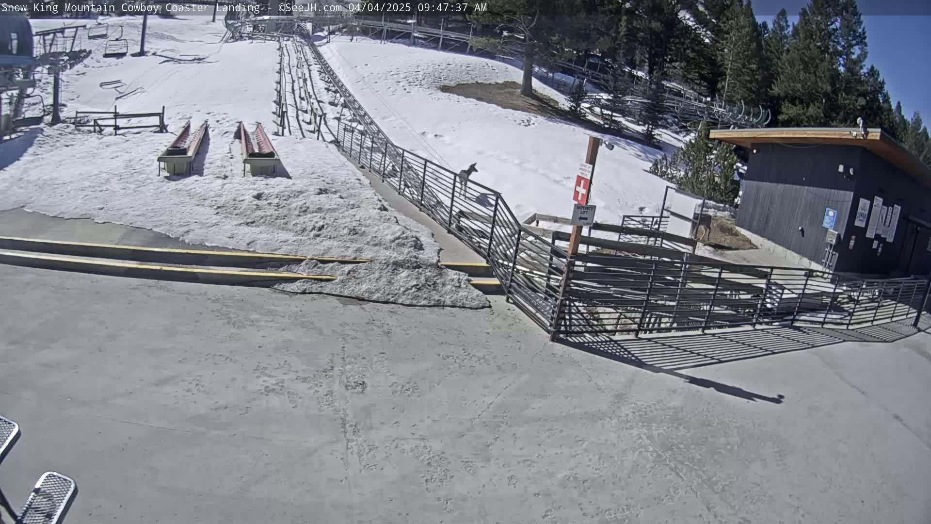 A snowy mountainside scene shows a coaster landing area with a small building and a metal fence, under a sunny sky.