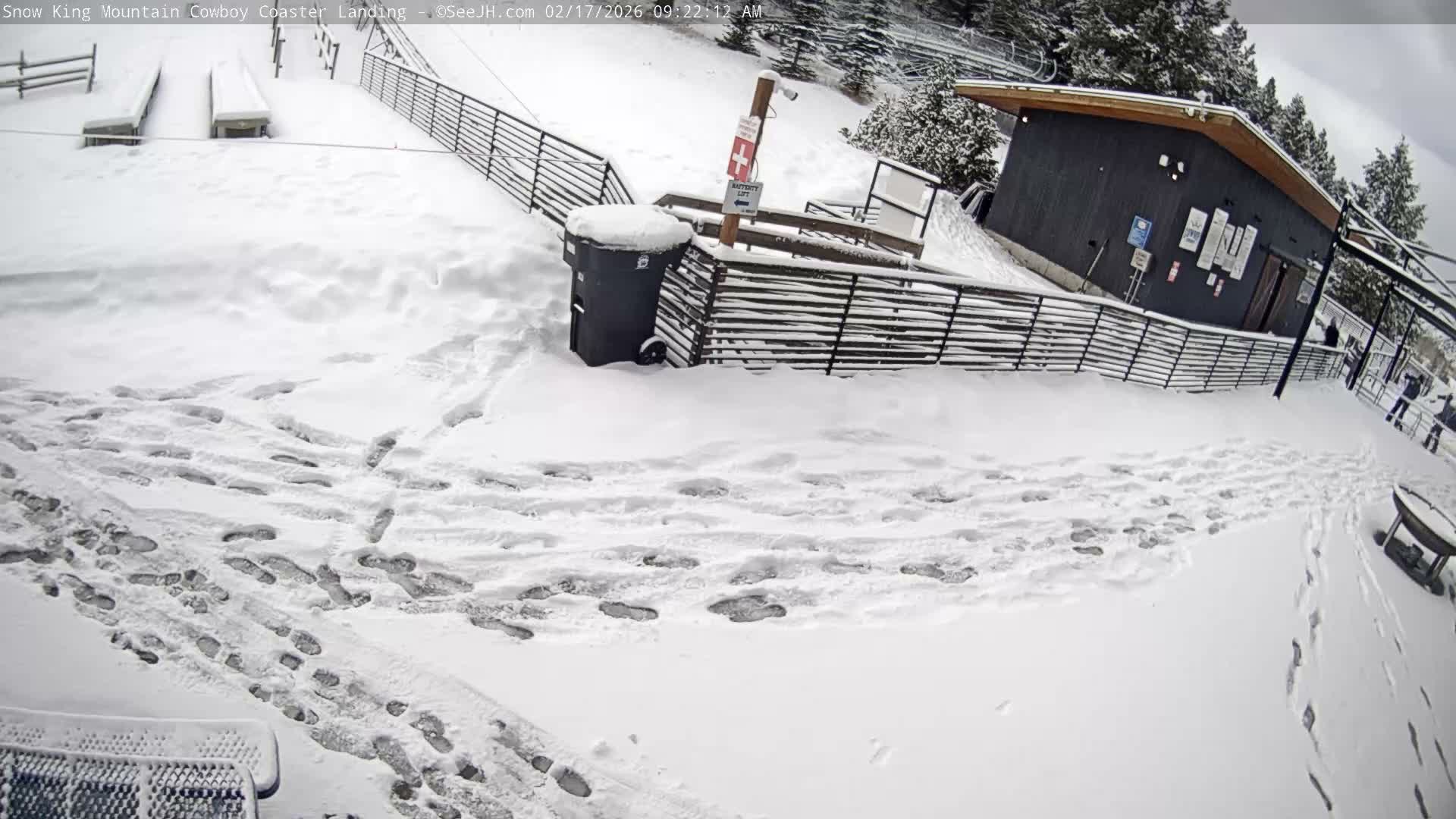Jackson, Snow King Mountain Cowboy Coaster & Alpine Slide Live Cam - Jackson, Teton, Wyoming, USA
