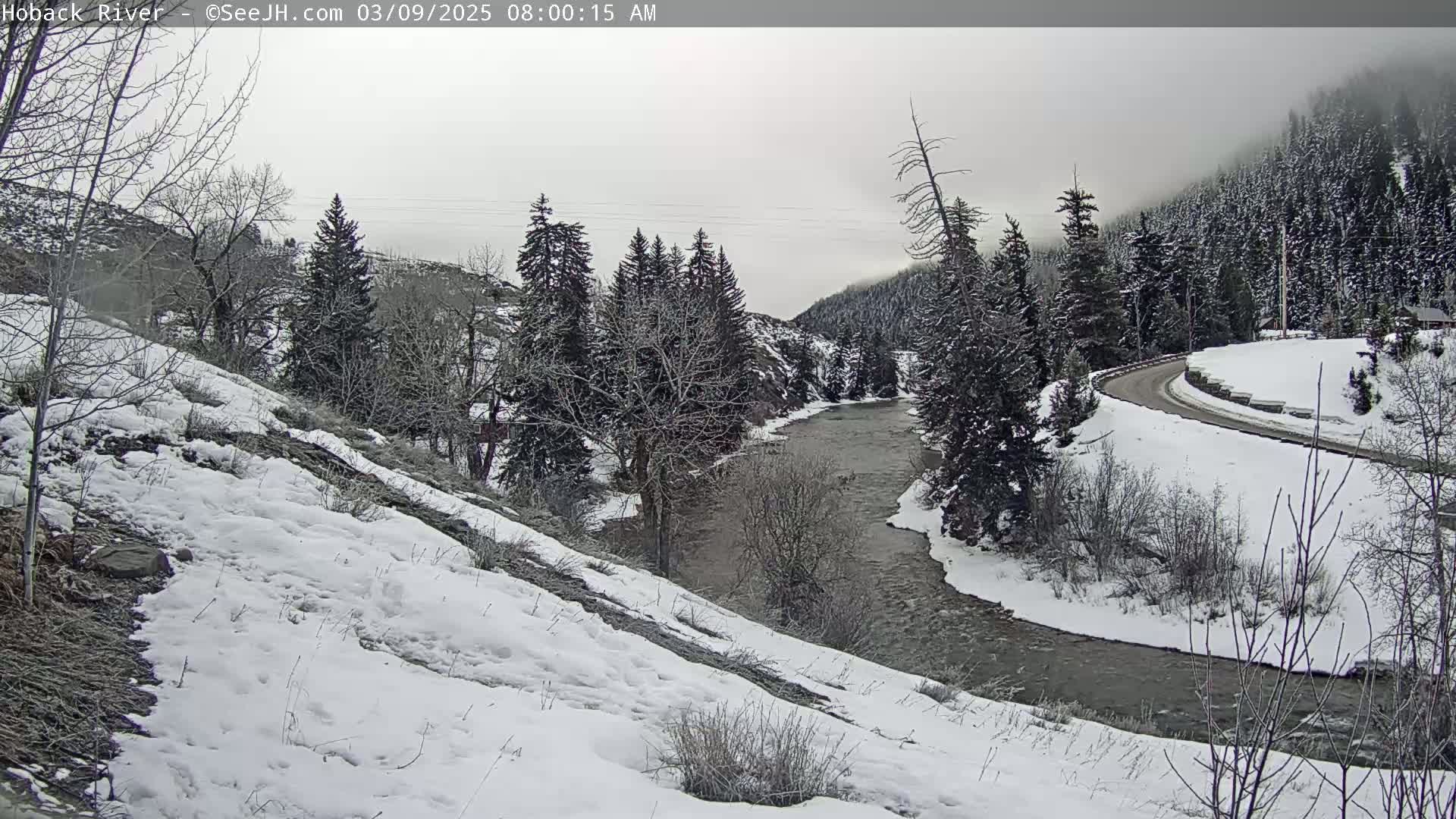 A snow-covered landscape shows a river winding through a valley of snow-dusted evergreen trees under an overcast sky.