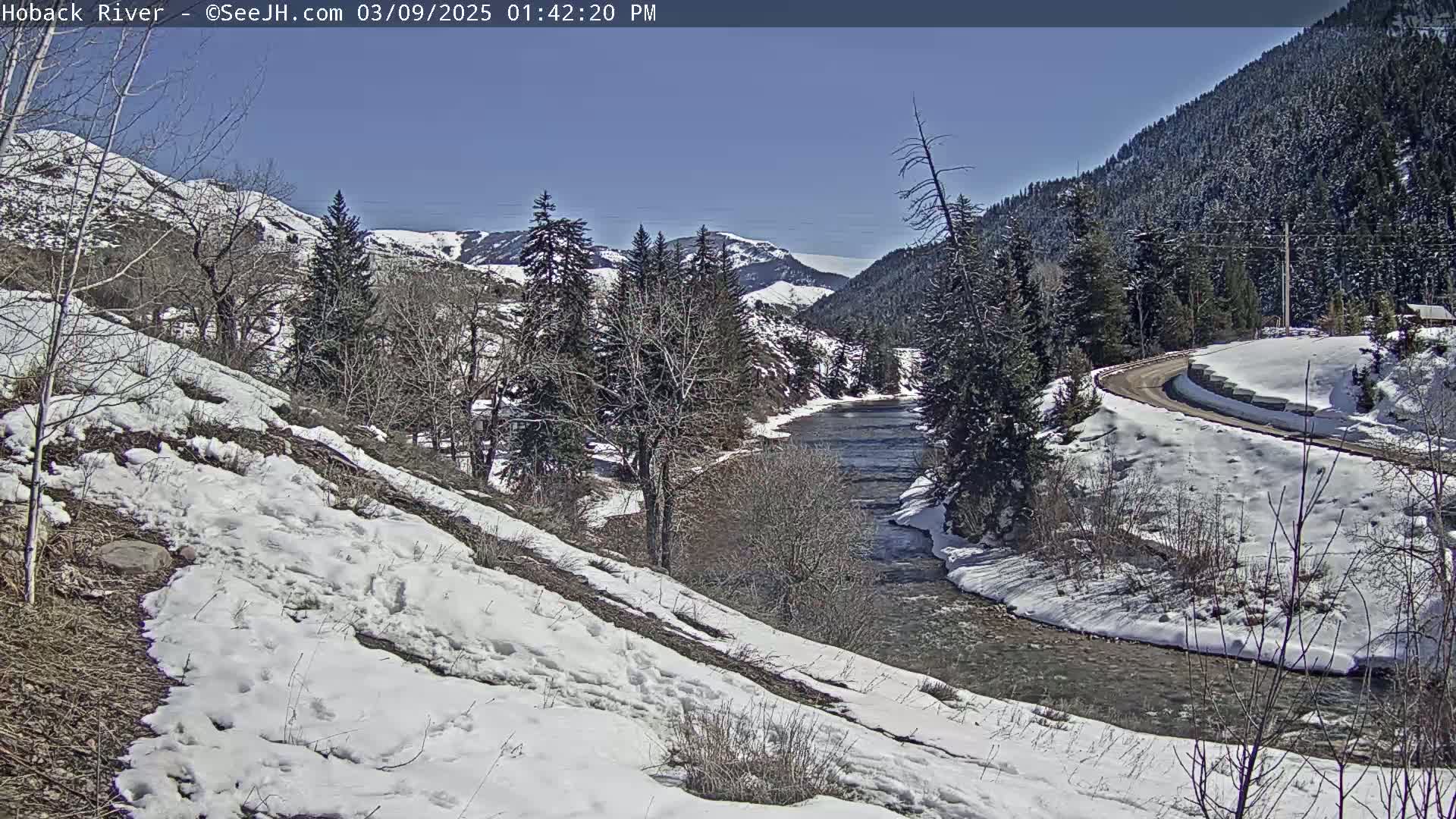 A snow-covered landscape reveals a river winding through a valley bordered by snow-dusted evergreen trees under a clear blue sky.