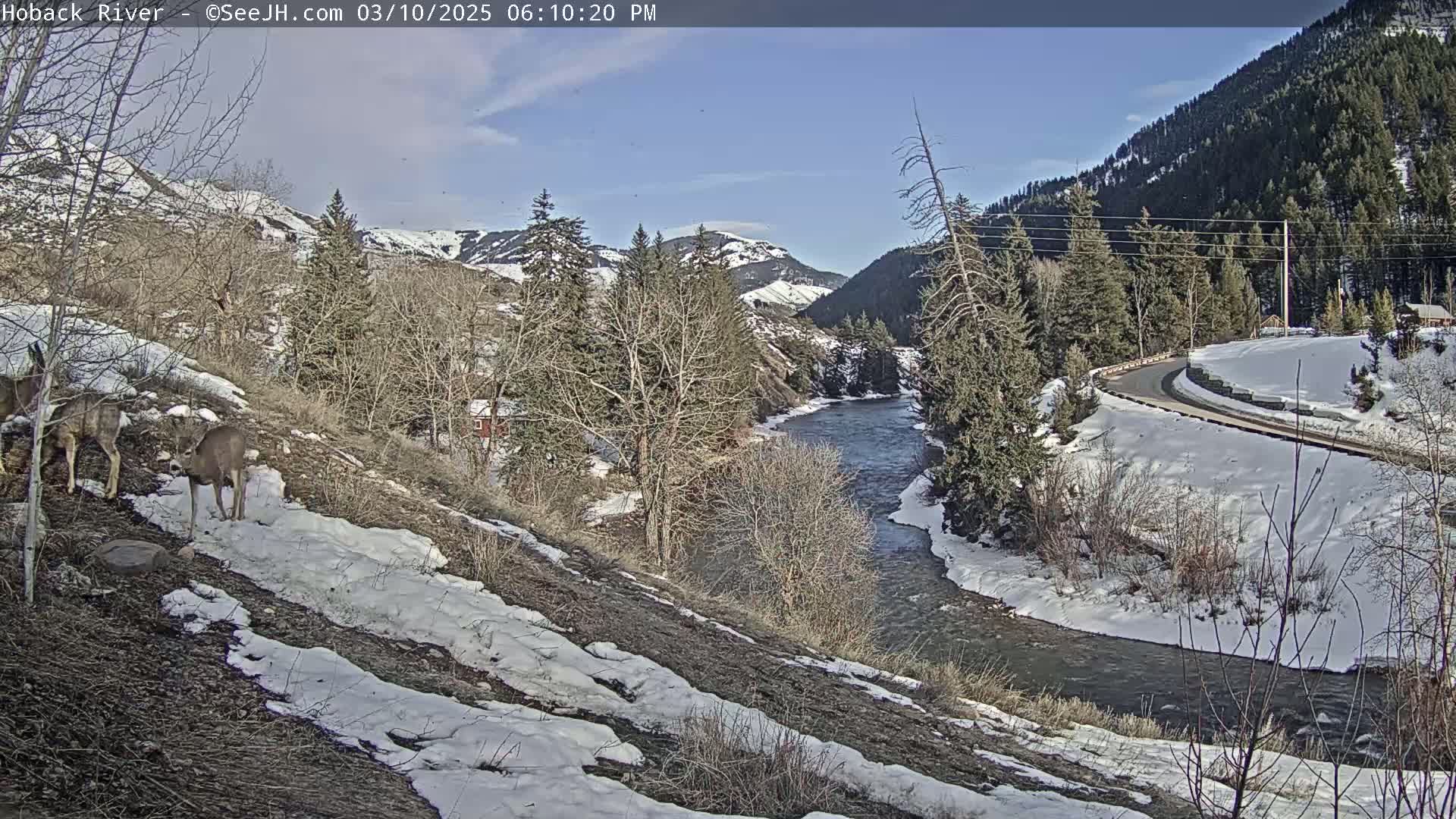 A snow-dusted hillside overlooks a flowing river, with deer in the foreground, under a mostly sunny sky and mountains in the background.