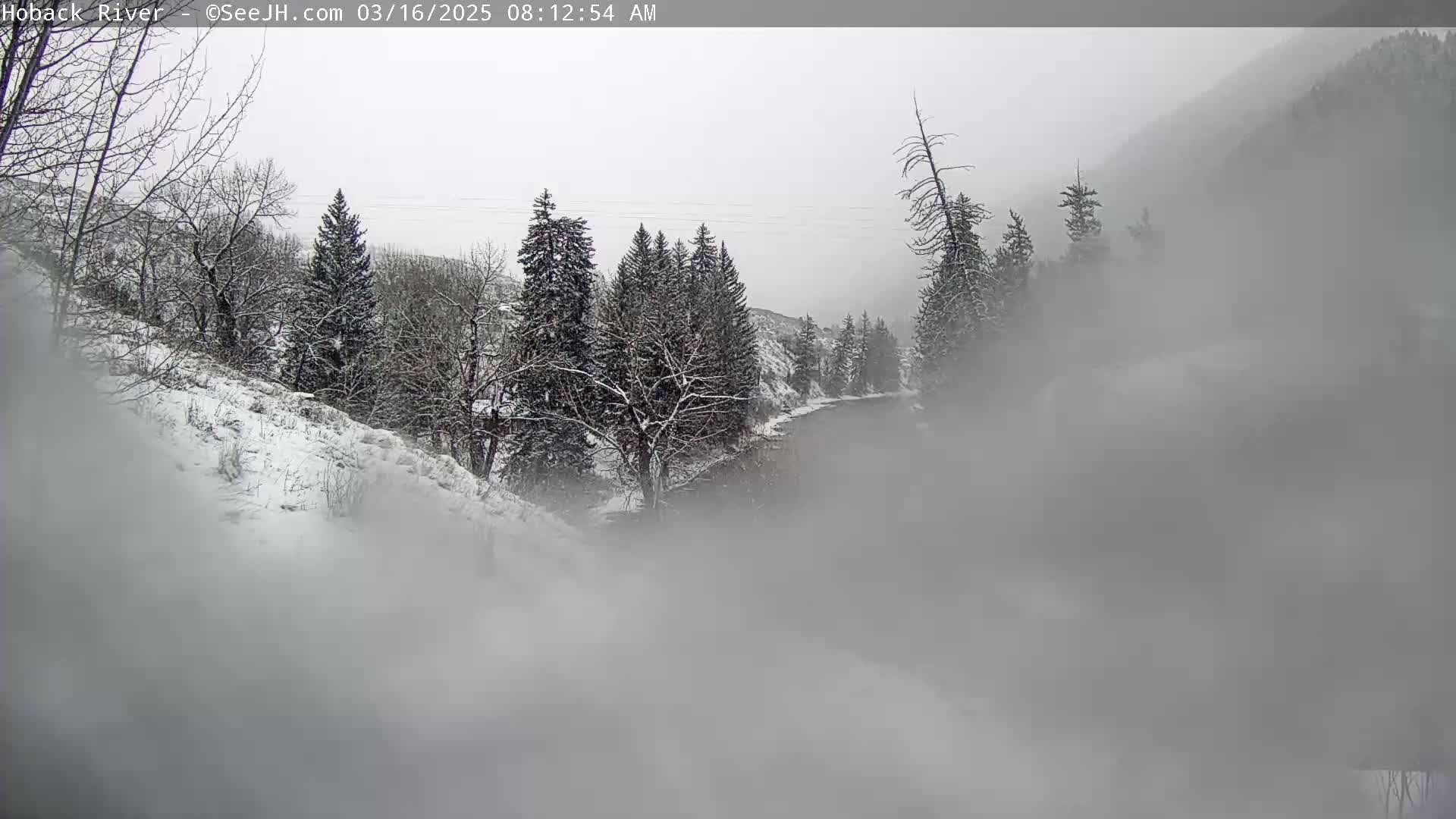 A snow-covered landscape with a river and evergreen trees is obscured by heavy fog under an overcast sky.