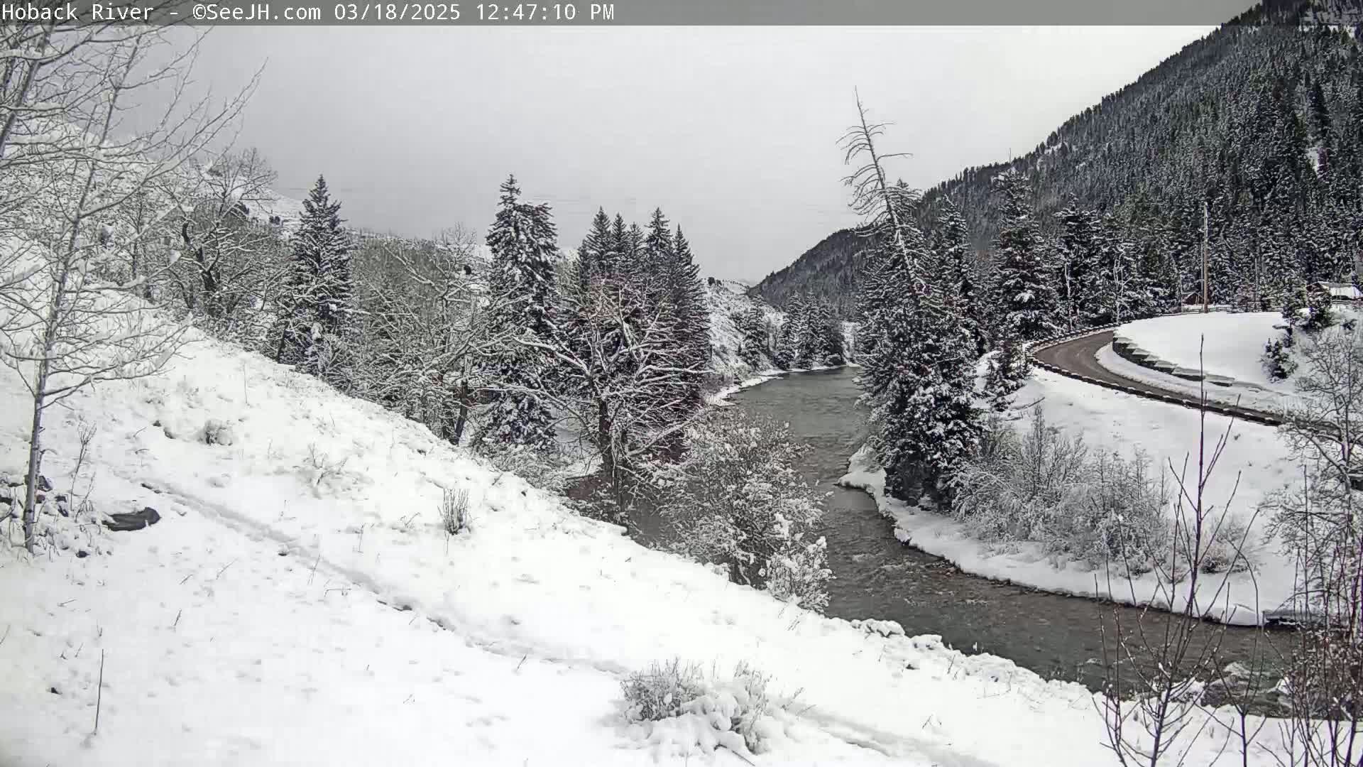 A snow-covered landscape reveals a river winding through a valley of snow-laden evergreen trees and a curving road under an overcast sky.