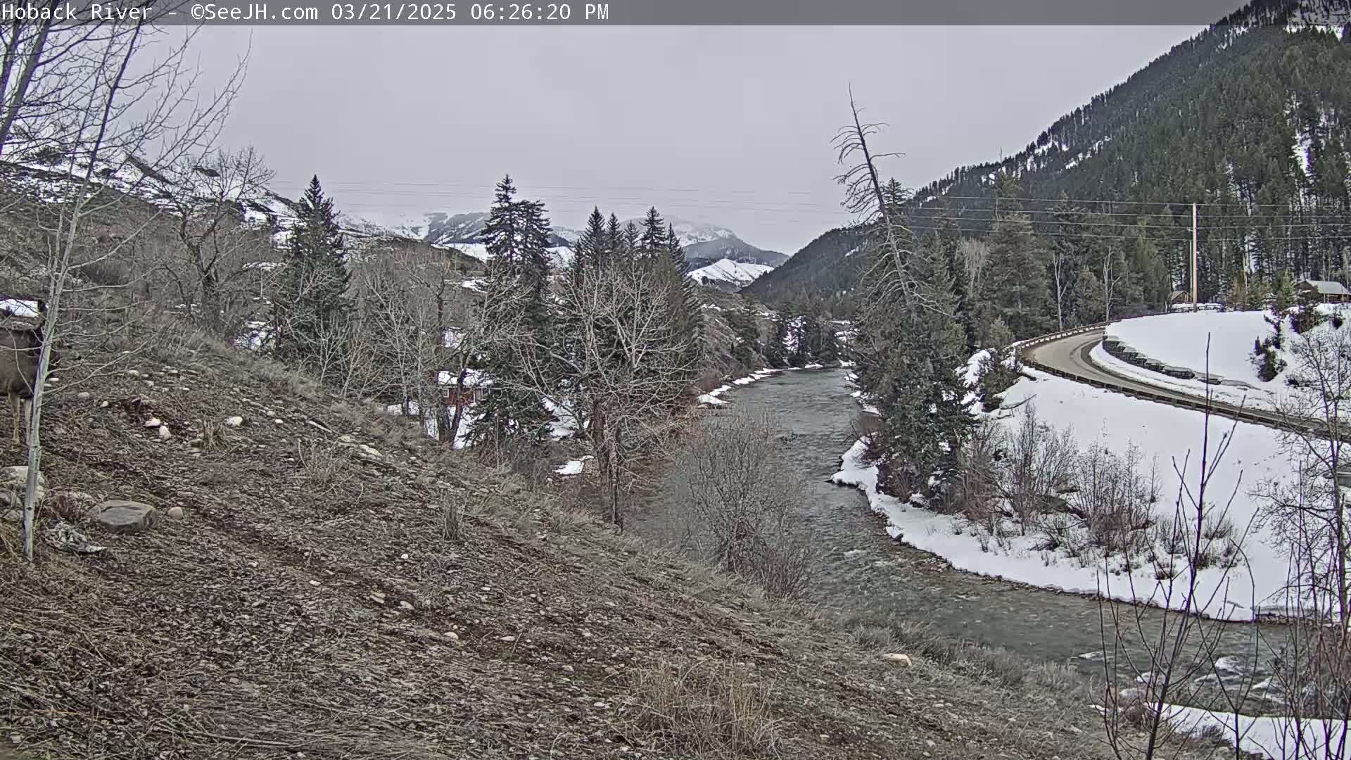 A river flows through a snow-covered valley under an overcast sky, with bare trees lining the riverbanks and a road winding through the snowy landscape.