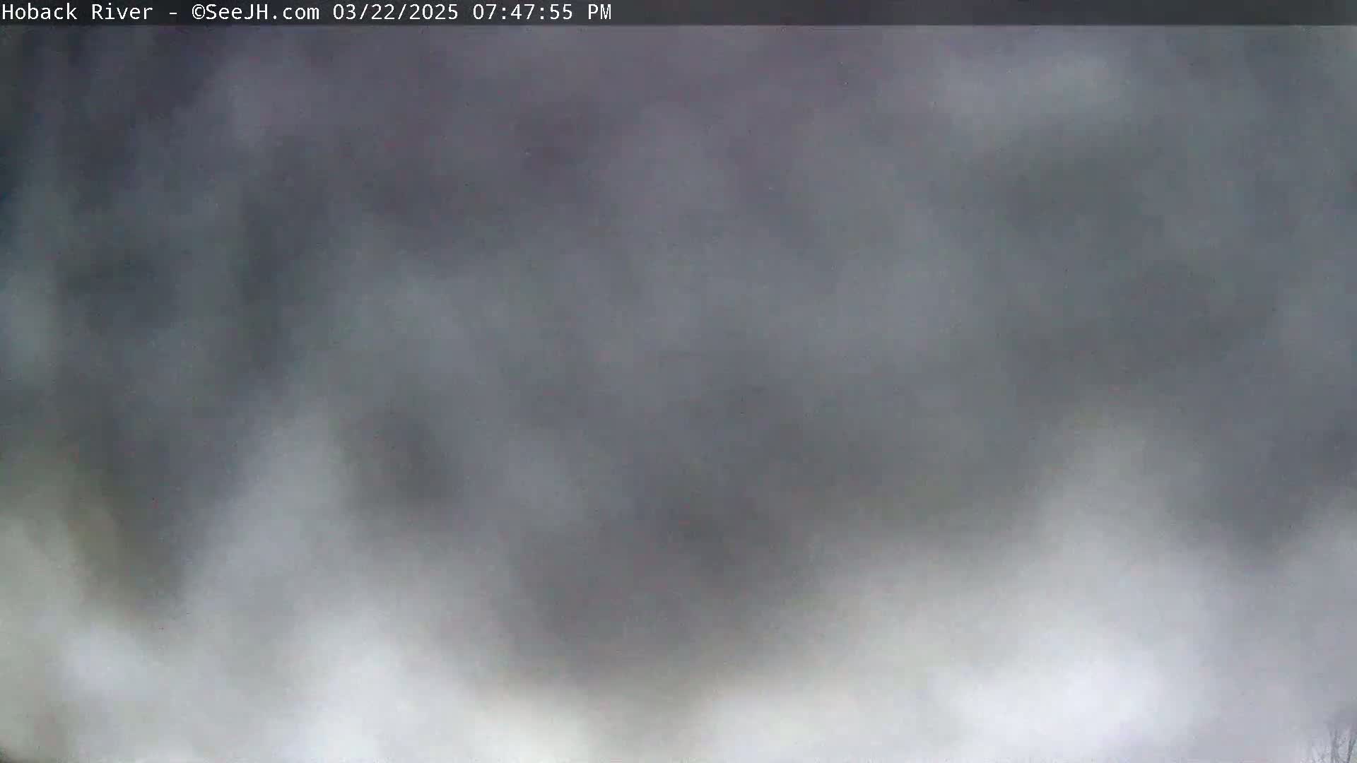 A blurry, overcast sky is visible.